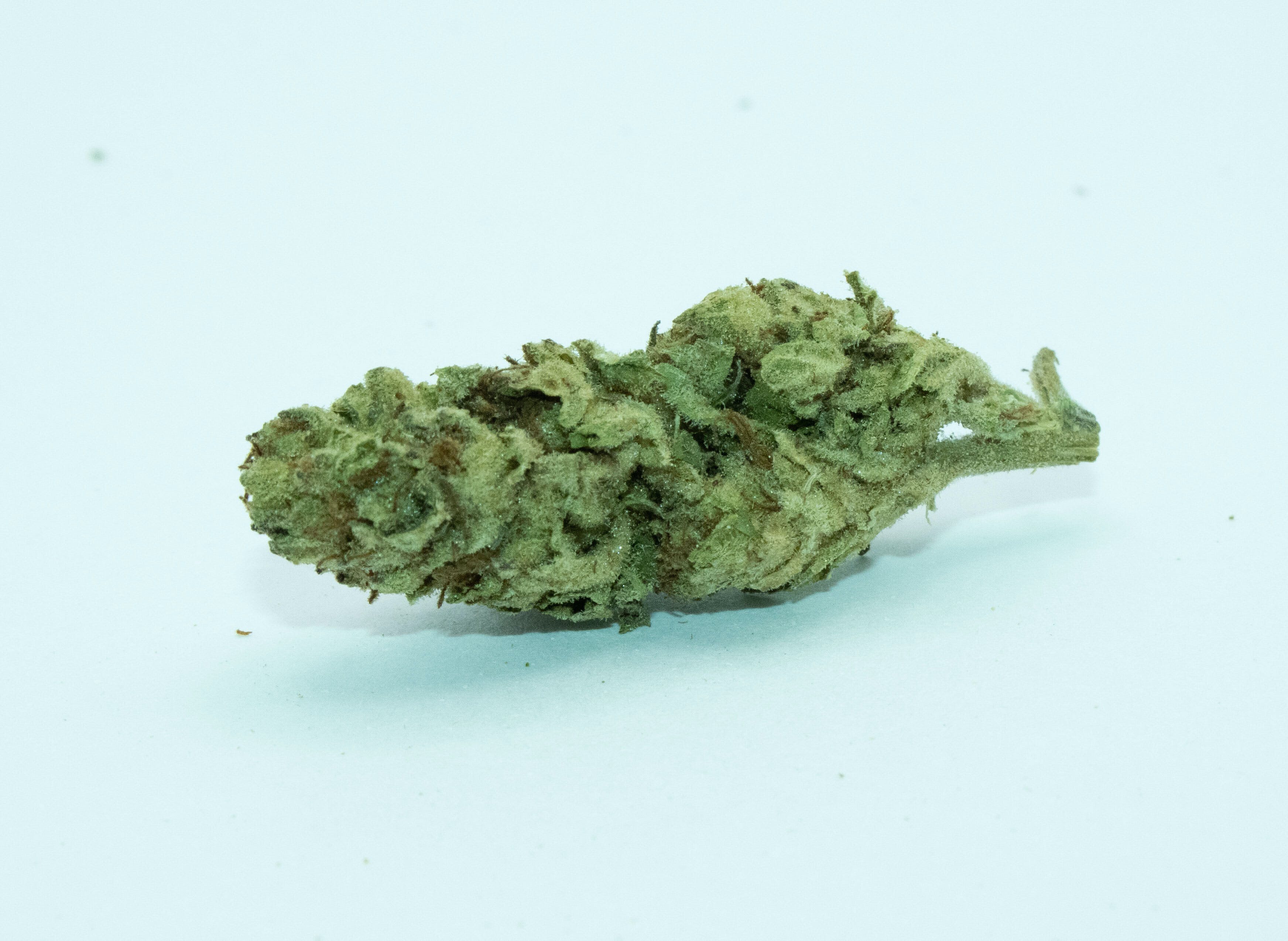 Slurricane 1 Gram (28%THC, Indica)