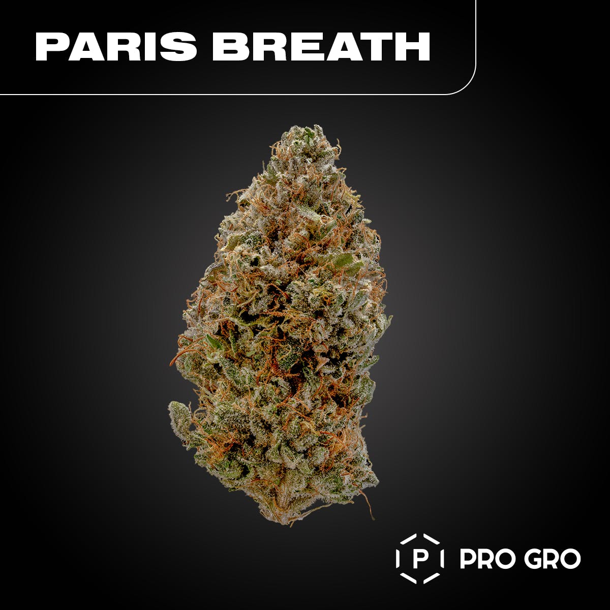 Paris Breath