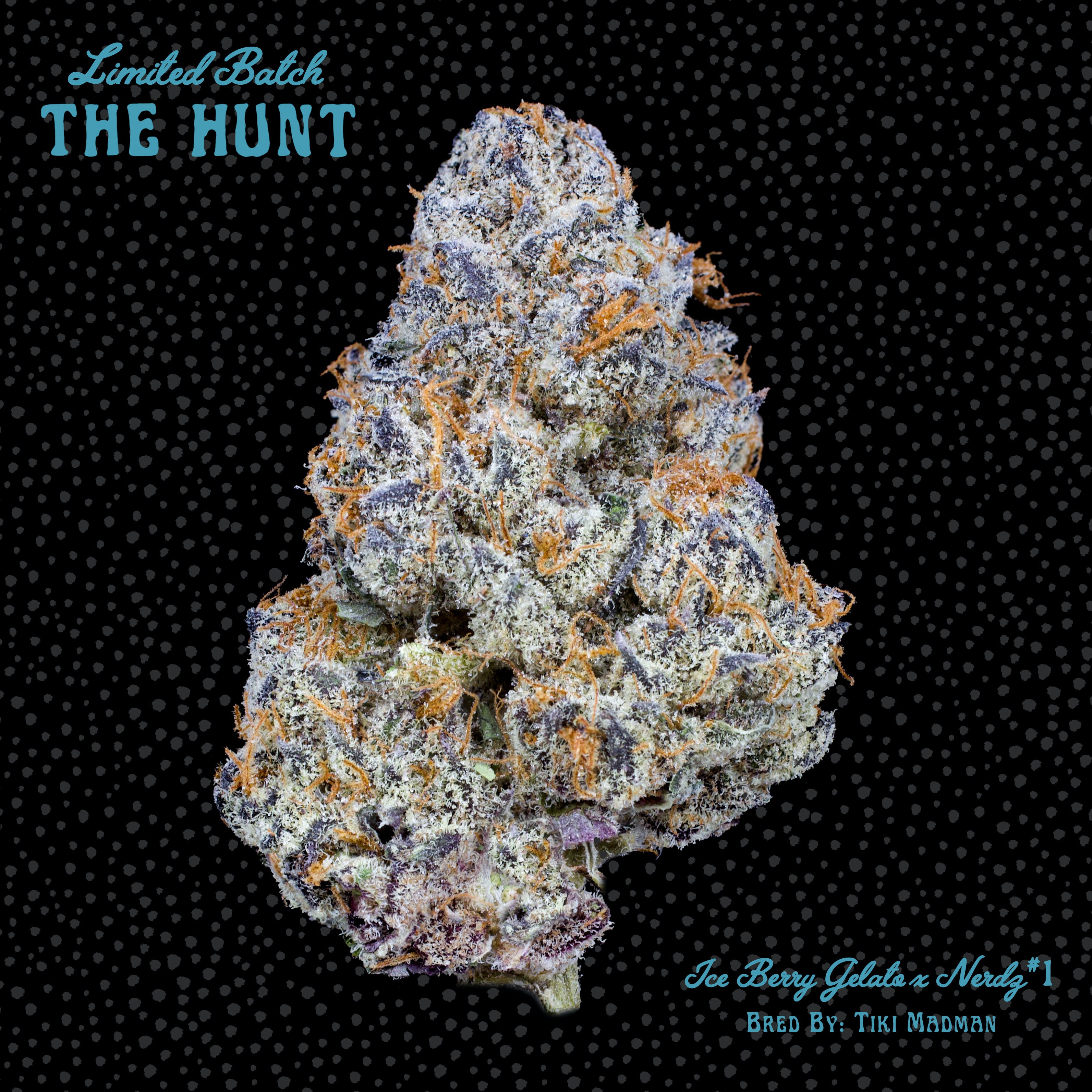 Nerdz x Ice Berry Gelato #1 - The Hunt