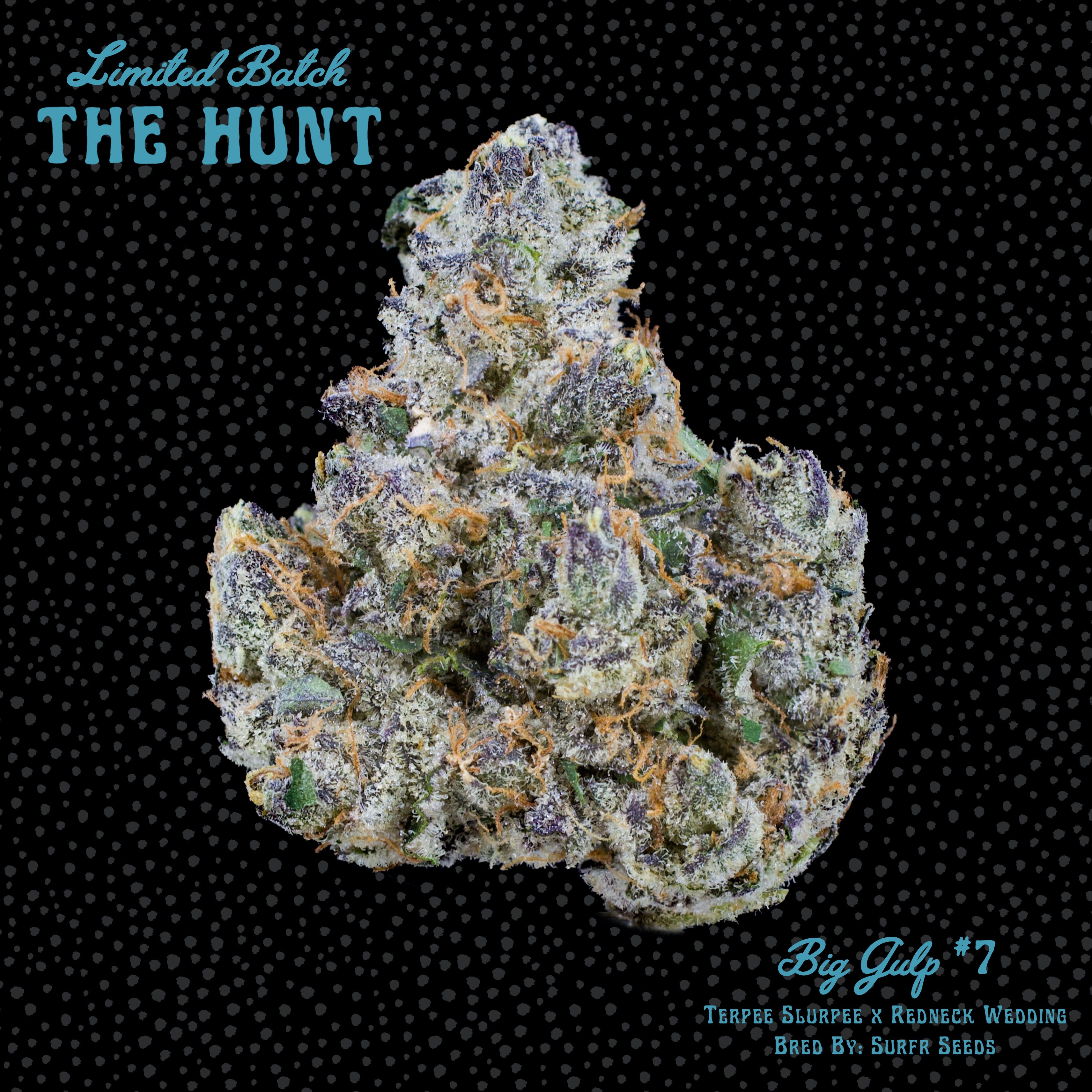 Big Gulp #7 - The Hunt