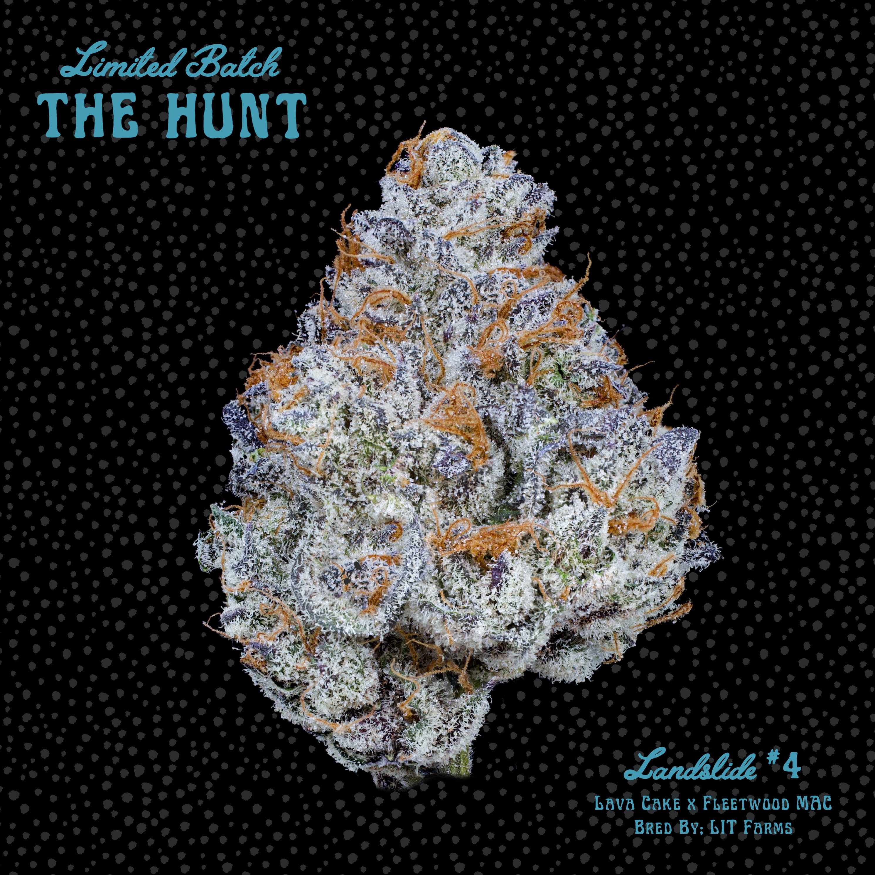 Landslide #4 - The Hunt