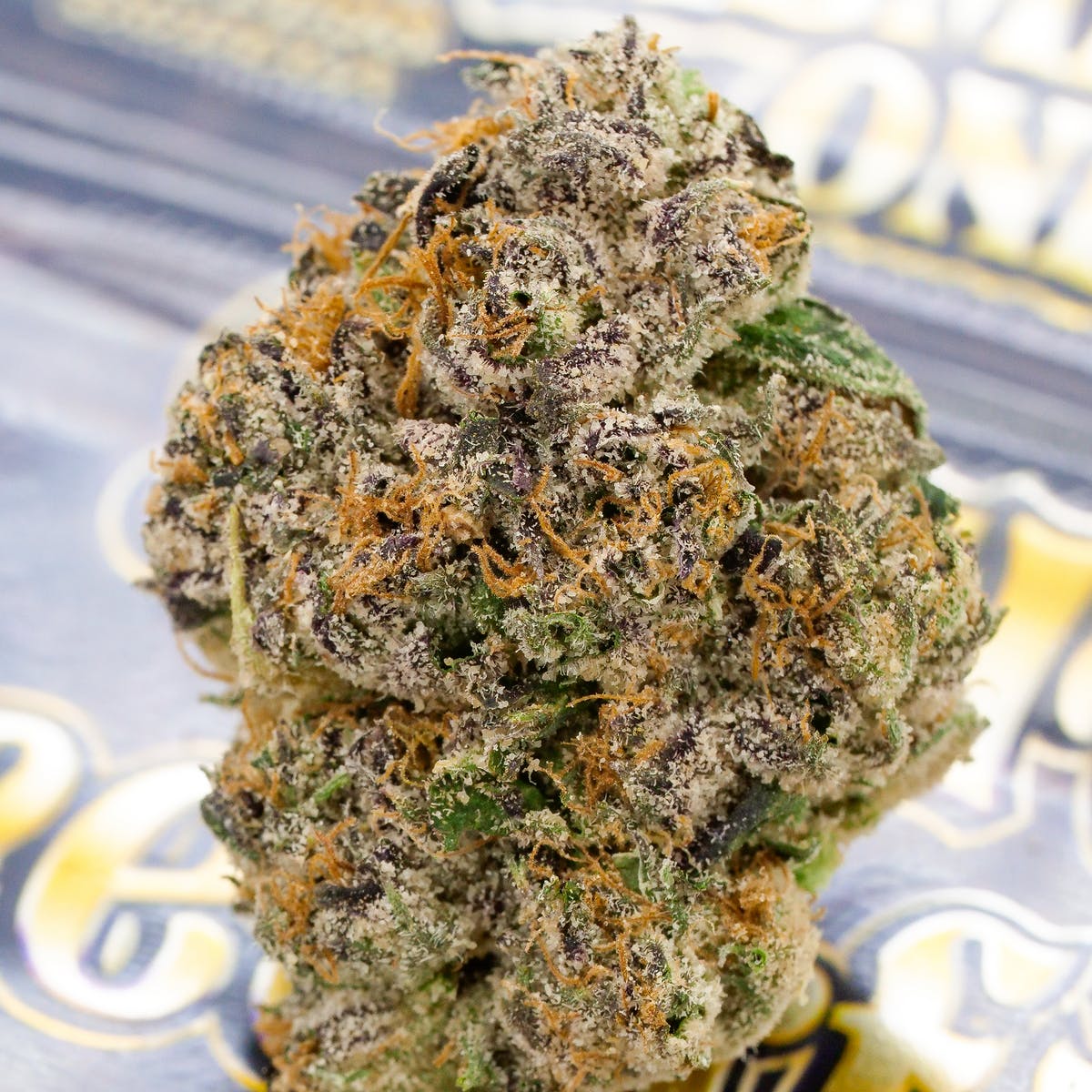 Secret Breakfast #24