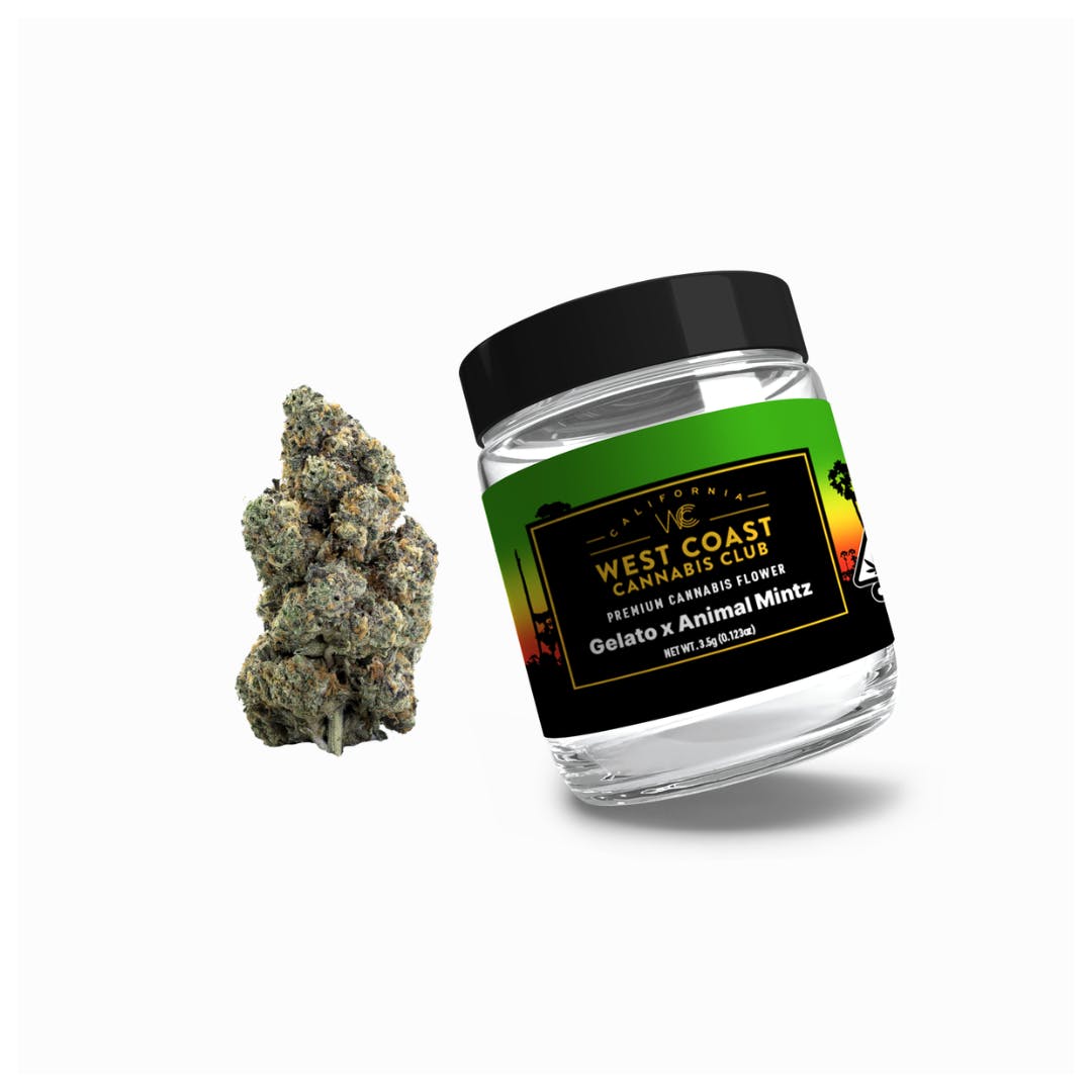 WCCC | Gelato 41 x Animal Mints