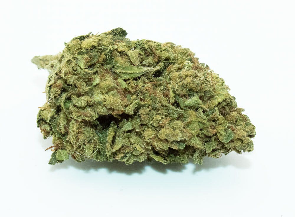 Dog Walker 1/4 Ounce (29% THC, Indica)