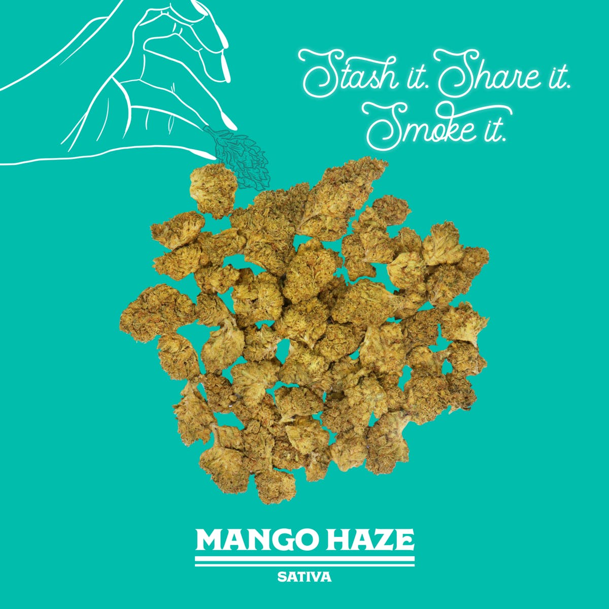 Mango Haze | 28g | Sungrown