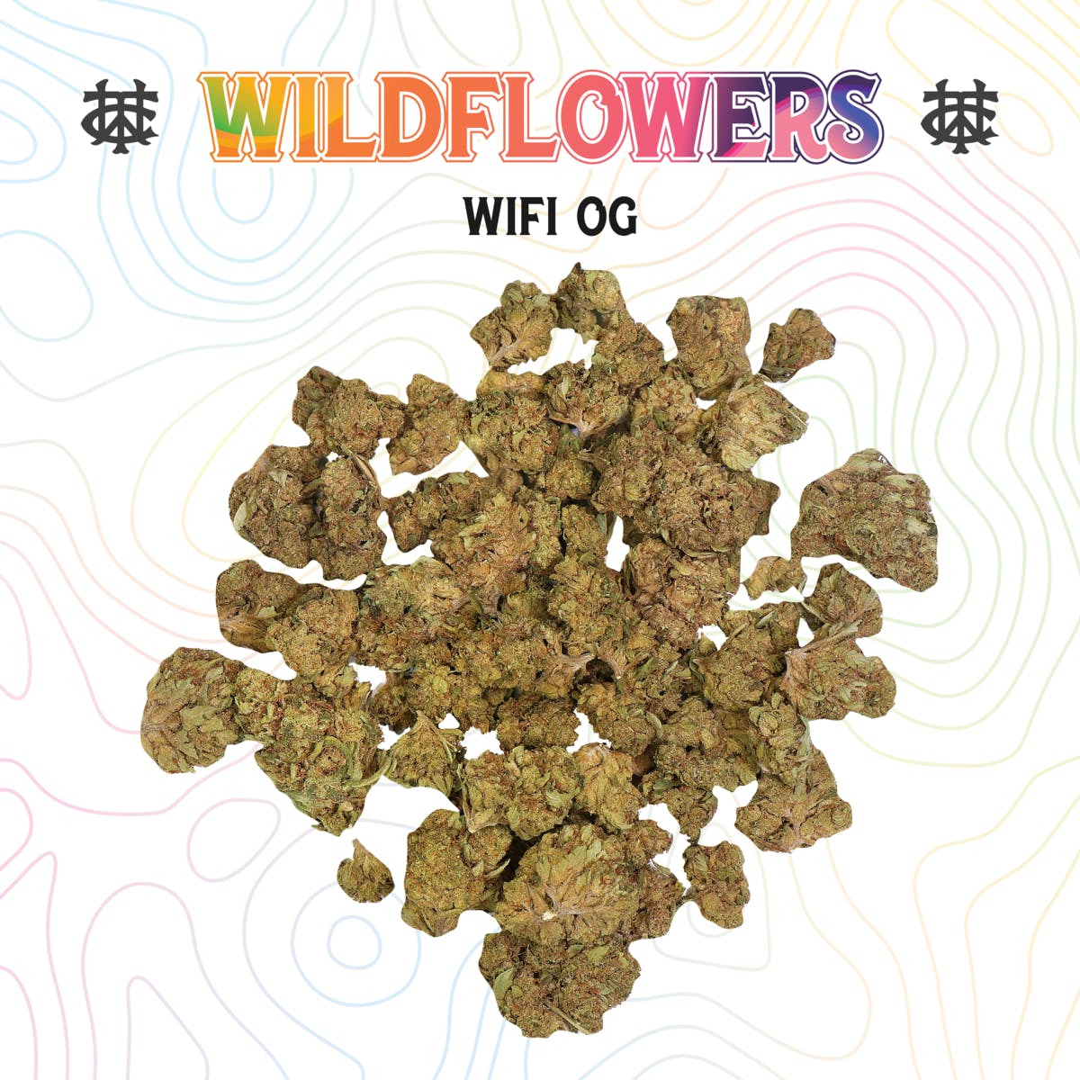 Wifi OG | 28g | Sungrown
