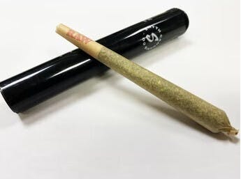 Deluxe Sugar Cane - Pre-Roll - 1g