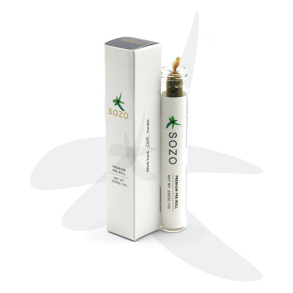 Bee Cookies 1g Pre-roll