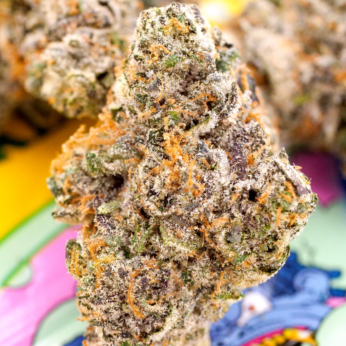 Himmothy - The Smoker's Club