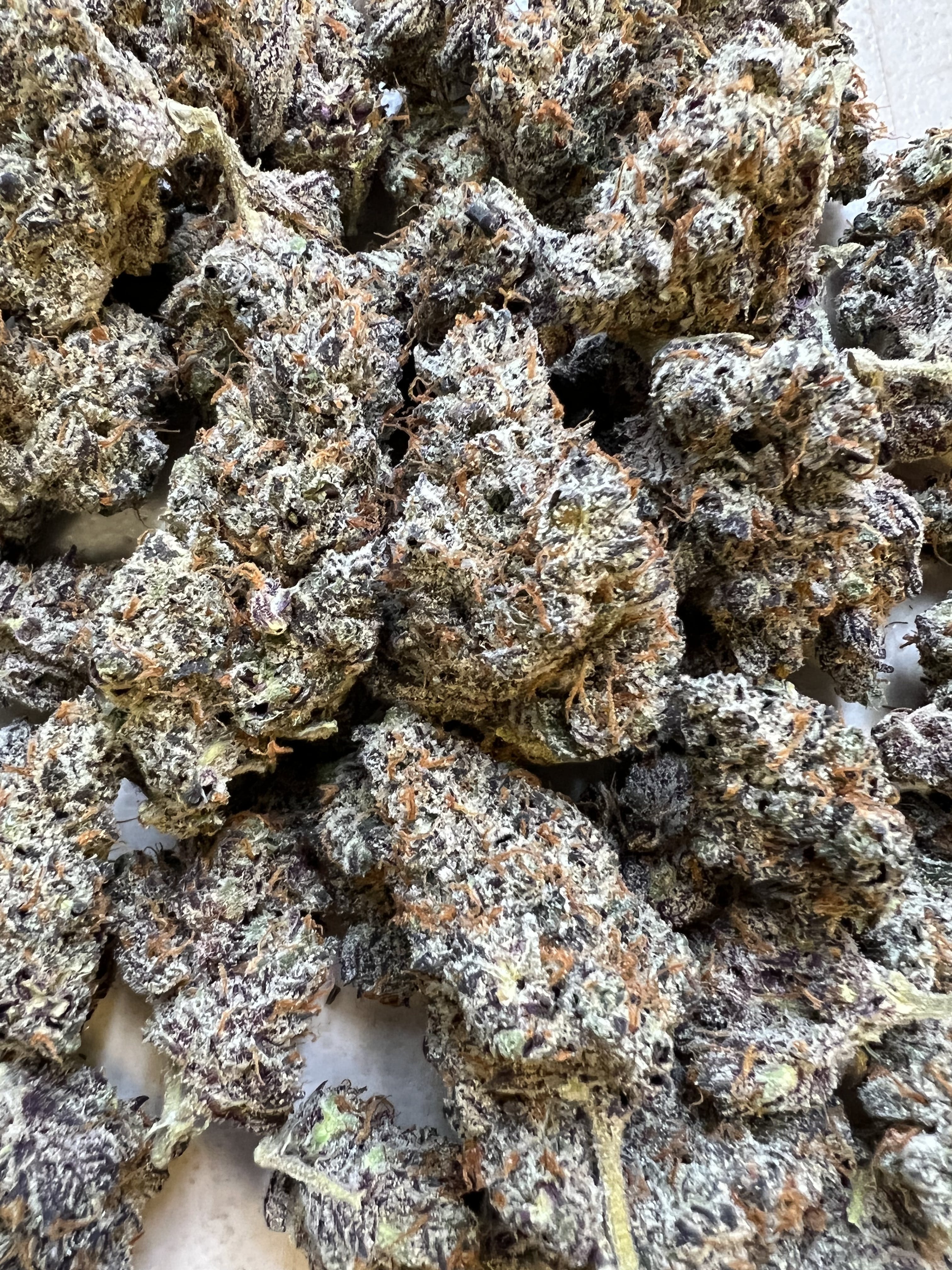 Gorilla Berry (Gorilla Glue #4 x Blueberry): Flower