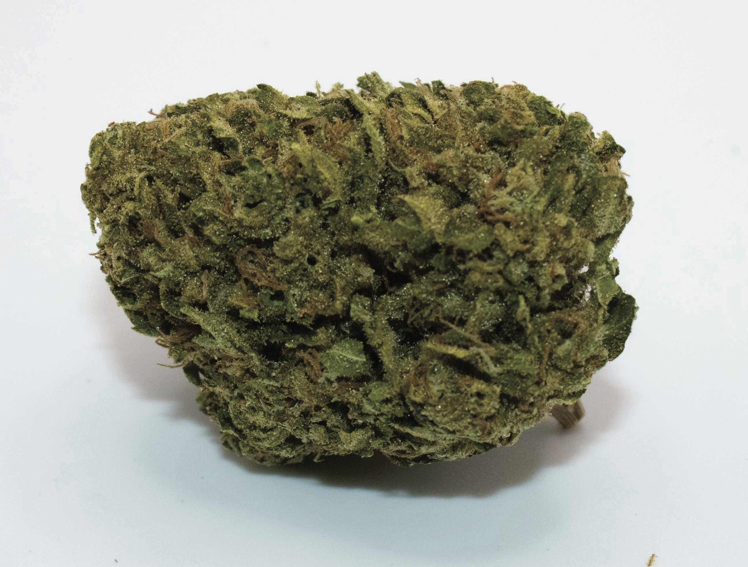 Ruthless OG 1/2 Ounce/14 Grams (25% THC, Indica)