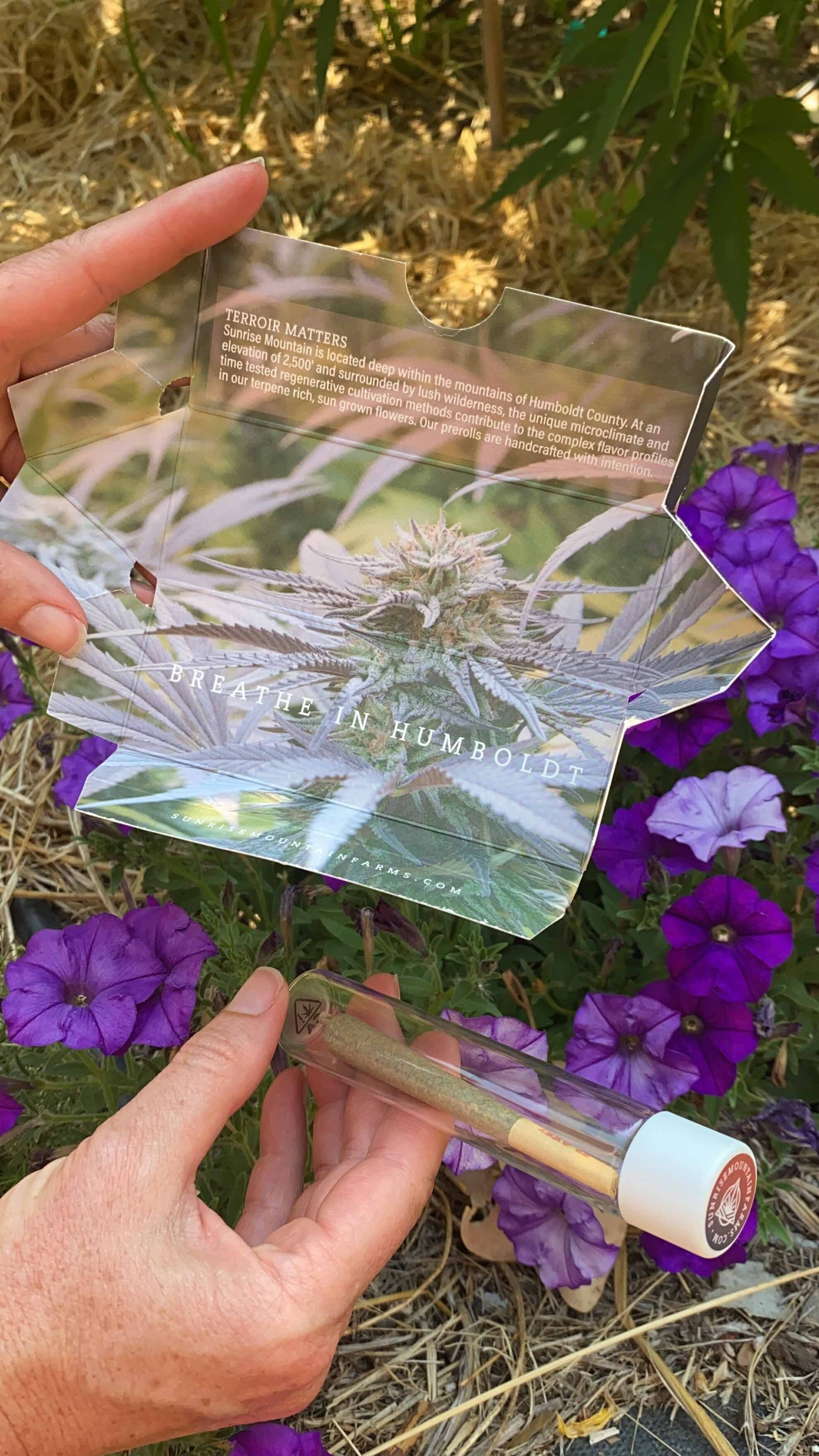 Pacific Infused Prerolls Strawberry G (Sunrise Mountain) (12% THC, Indica )