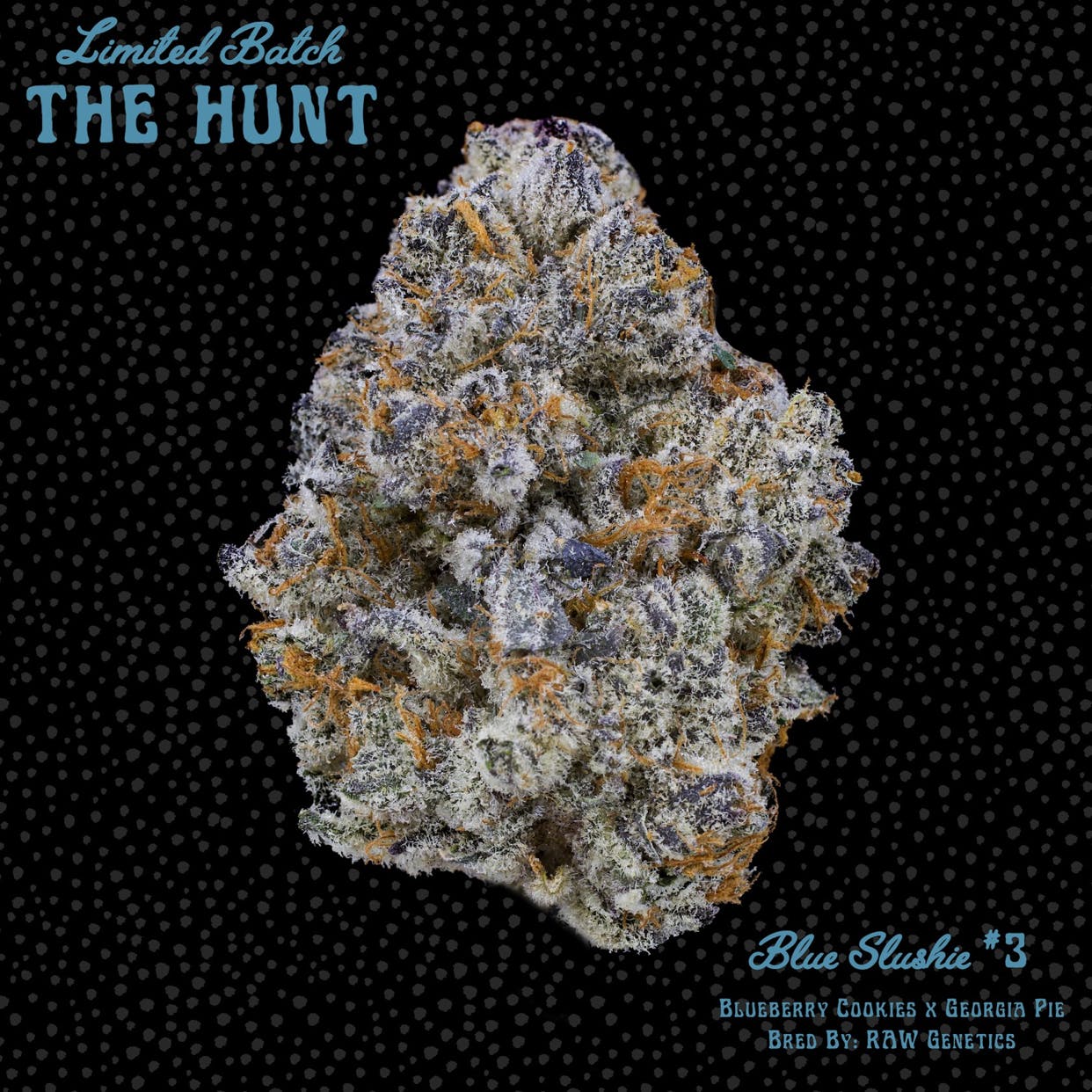 Blue Slushie #3 - The Hunt