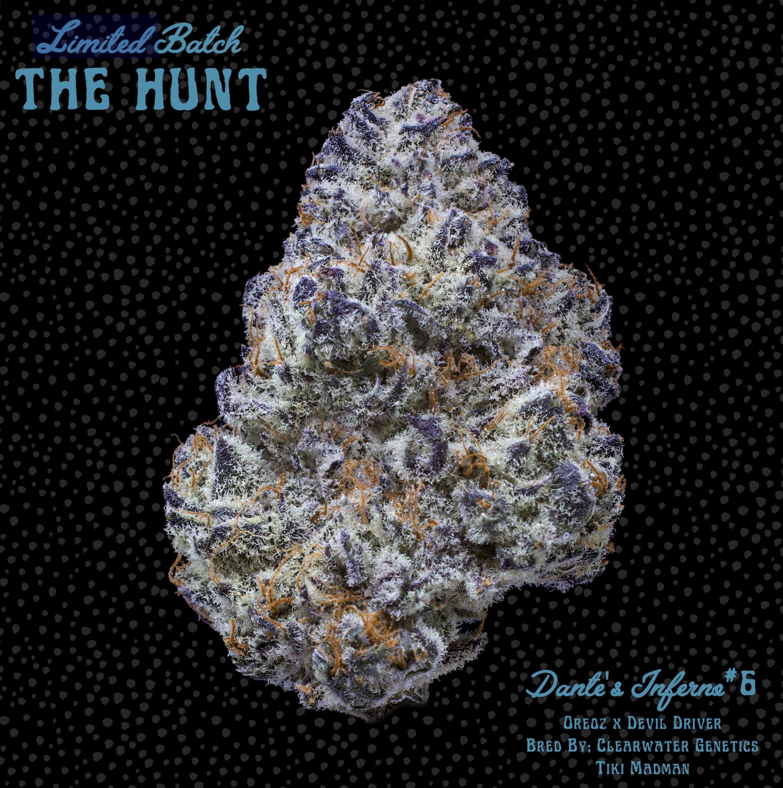 Dante's Inferno #6 - The Hunt