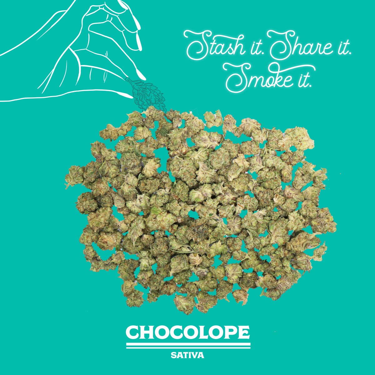 Chocolope | 28g | Mixed Light Smalls