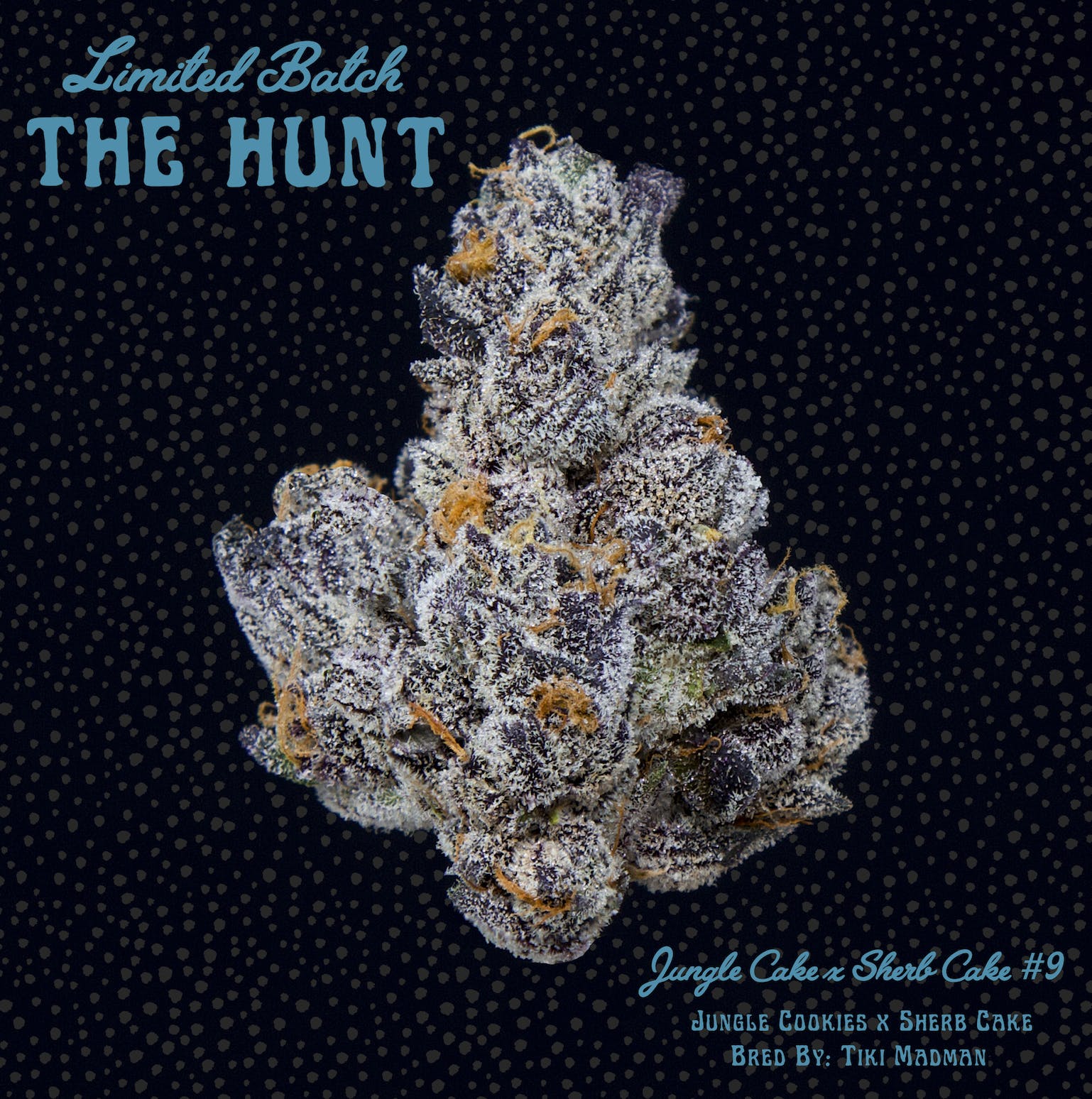 Jungle Cookies x Sherb Cake #9 - The Hunt