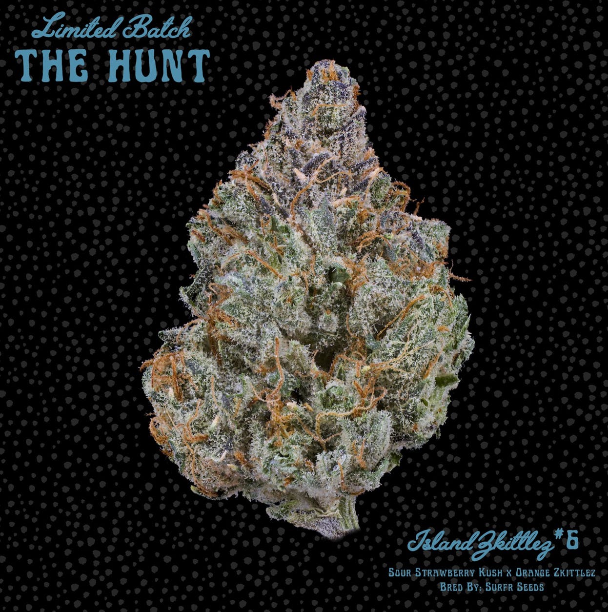 Island Zkittlez #6 - The Hunt