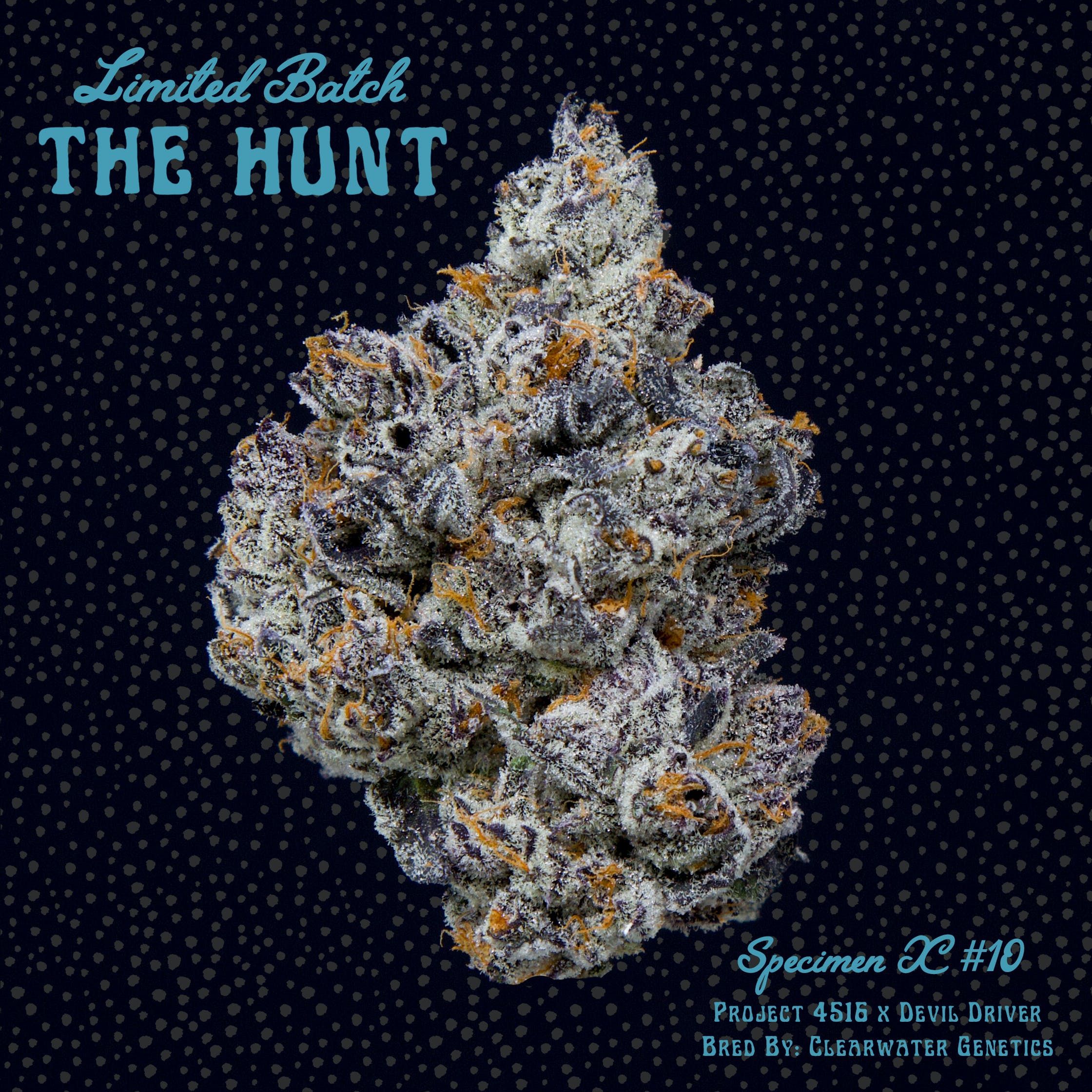 Specimen X #10 - The Hunt