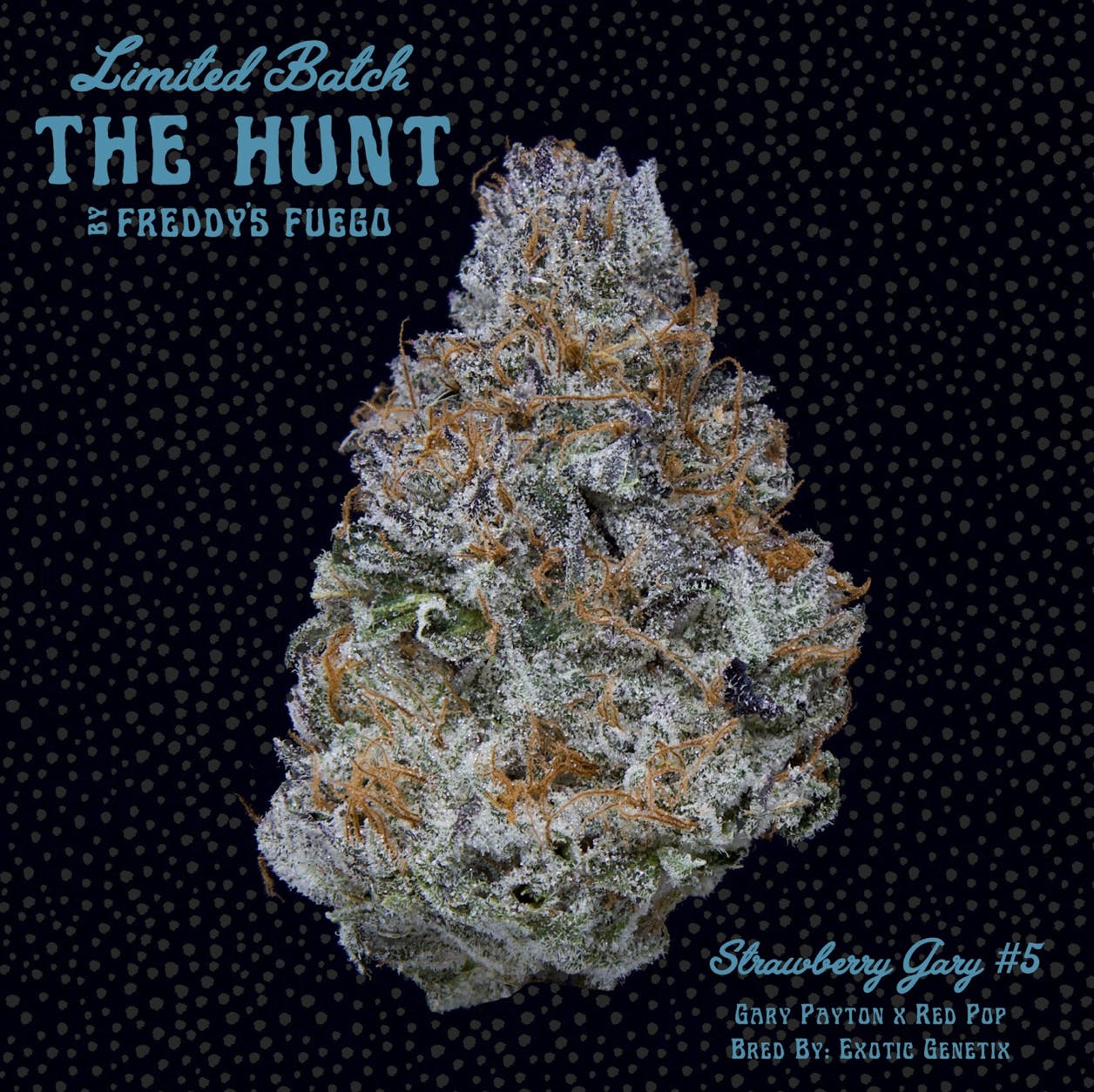 Strawberry Gary #5 - The Hunt