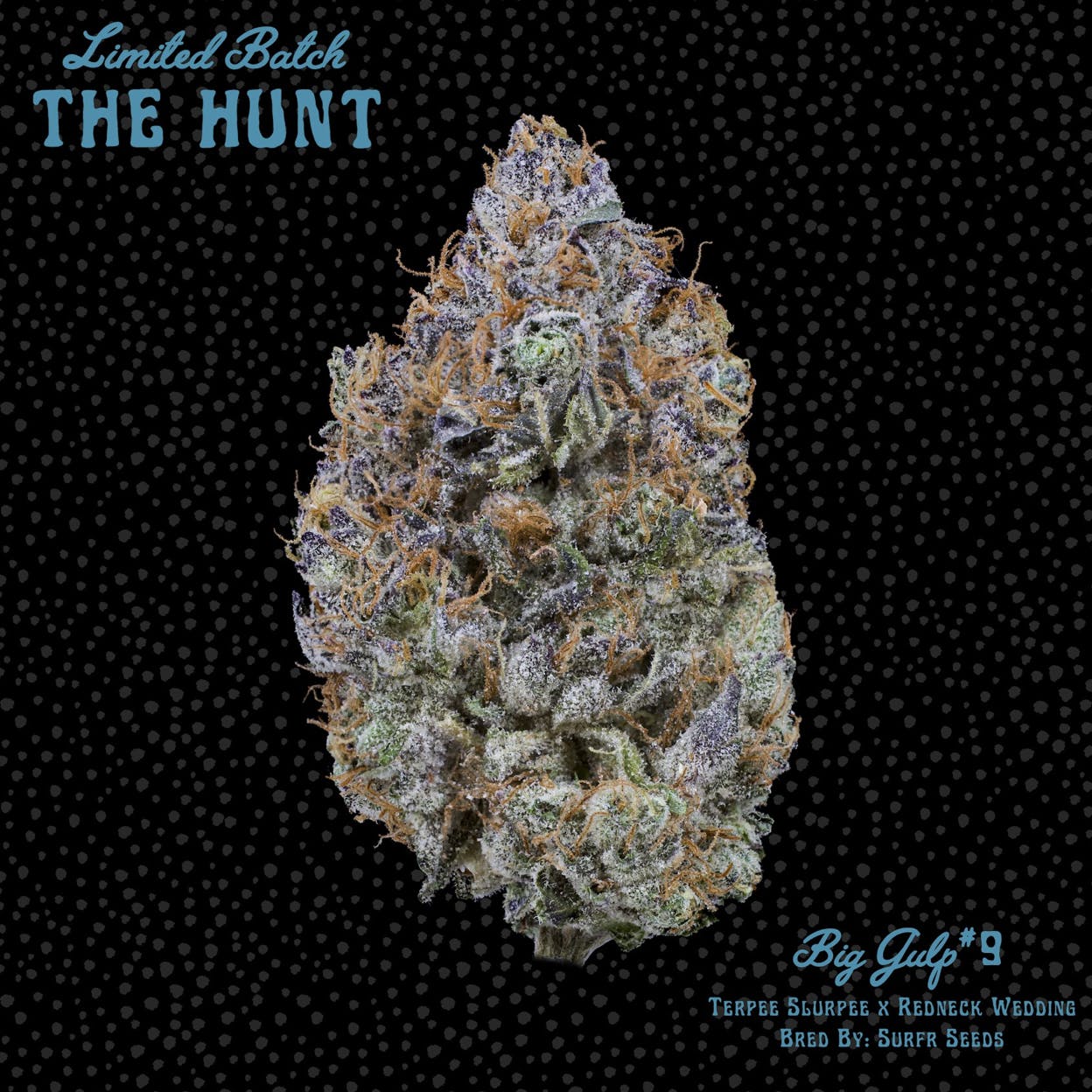 Big Gulp #9 - The Hunt