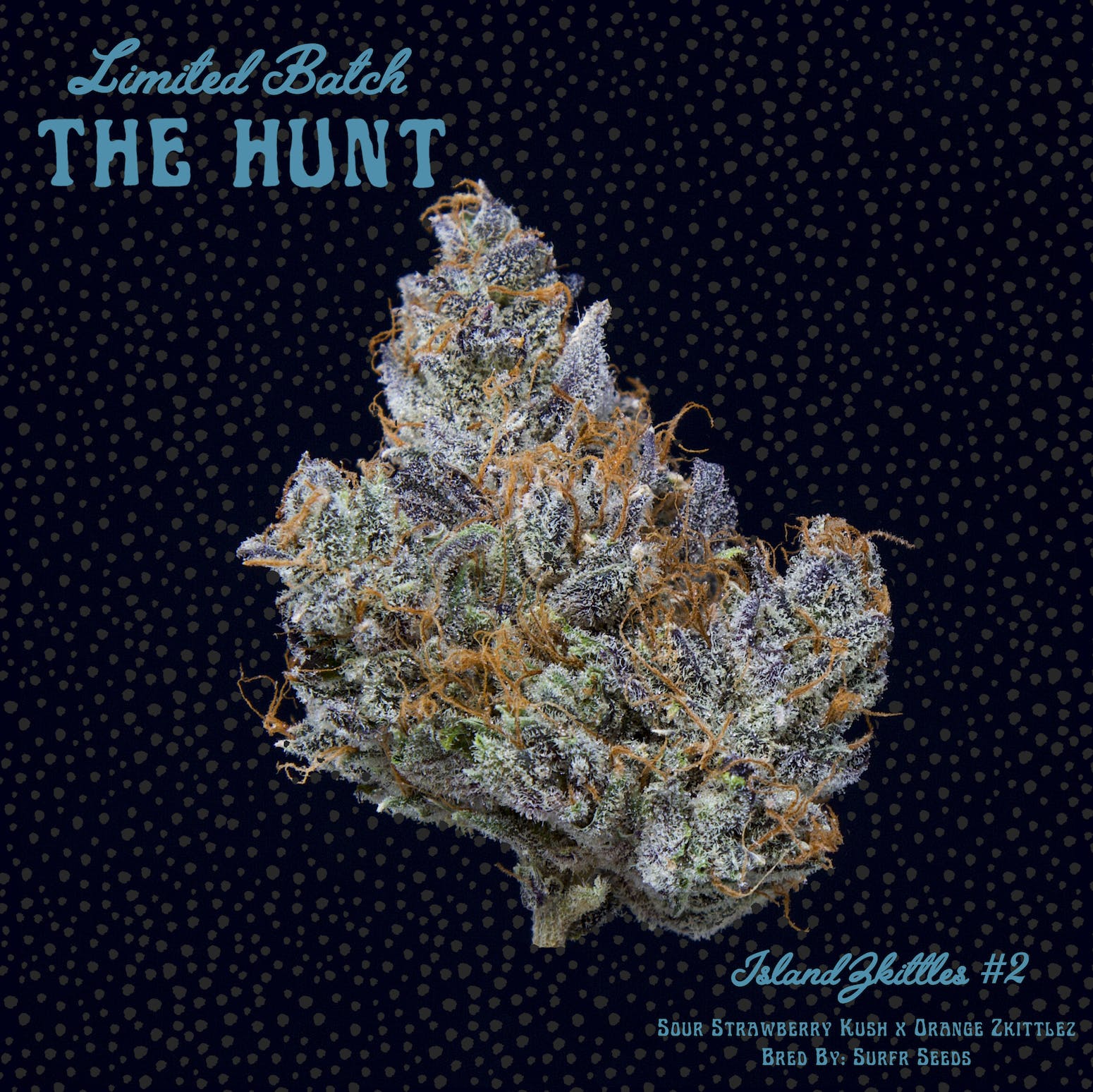 Island Zkittlez #2 - The Hunt