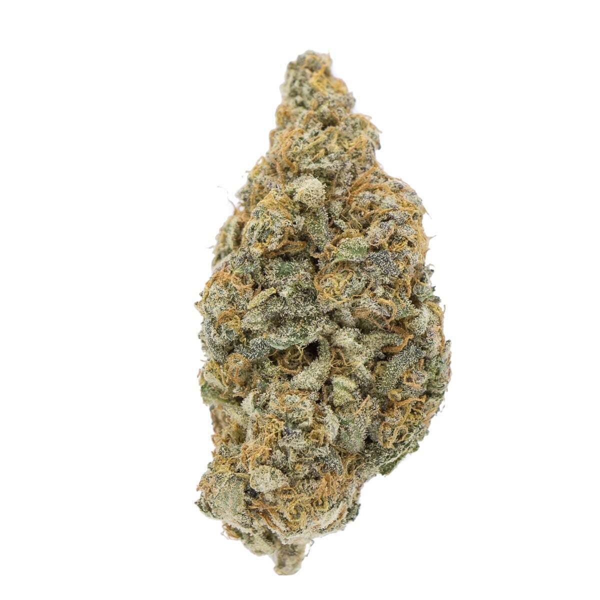 Lemoncello (Lemonade x Cherry Pie): Flower *** SEEDS ***