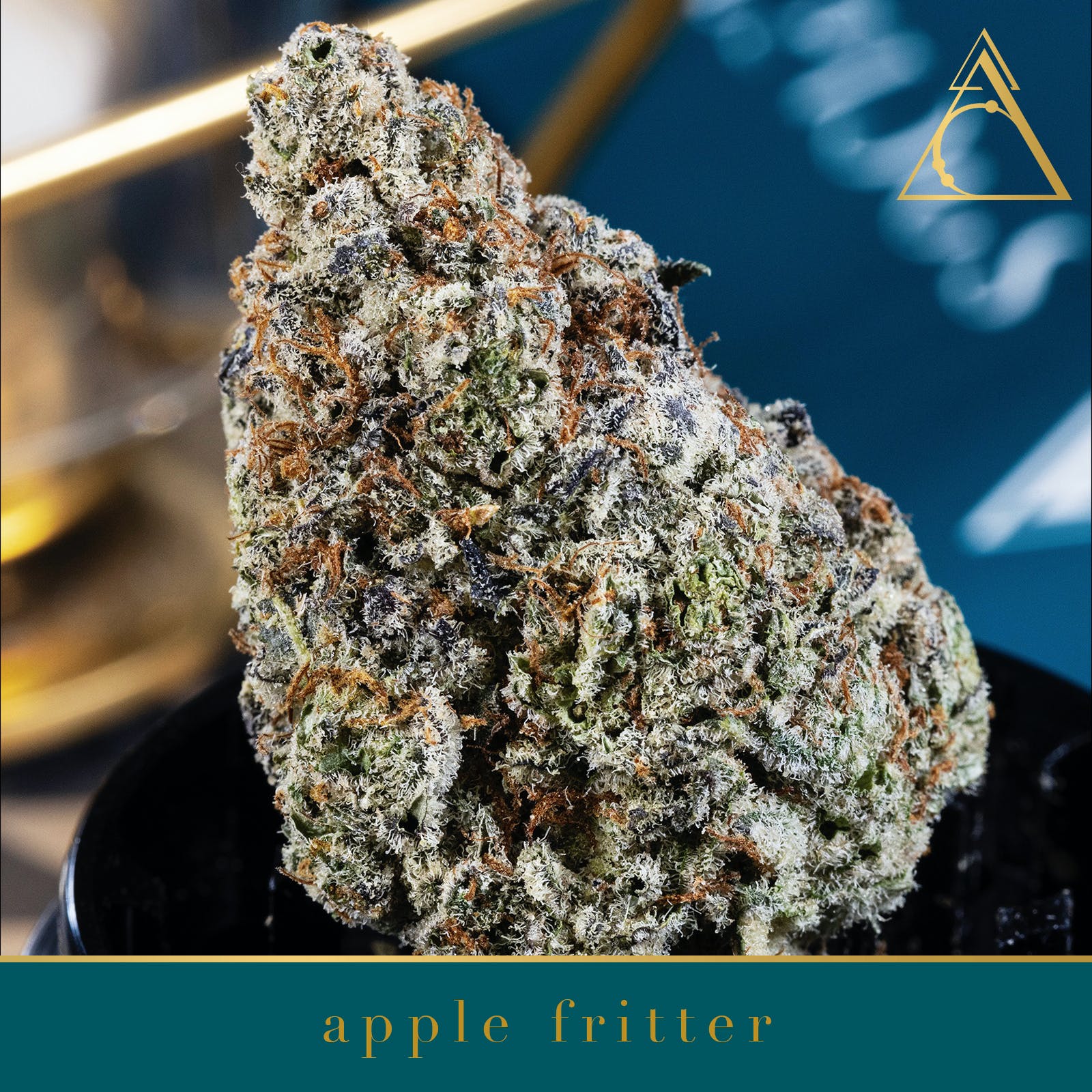 Society C - Apple Fritter