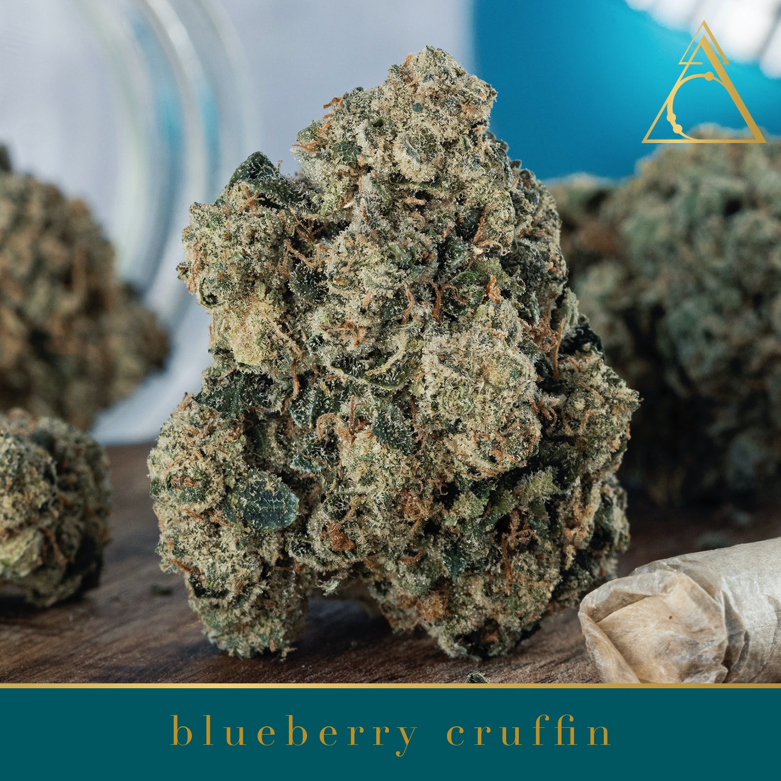 Society C - Blueberry Cruffin