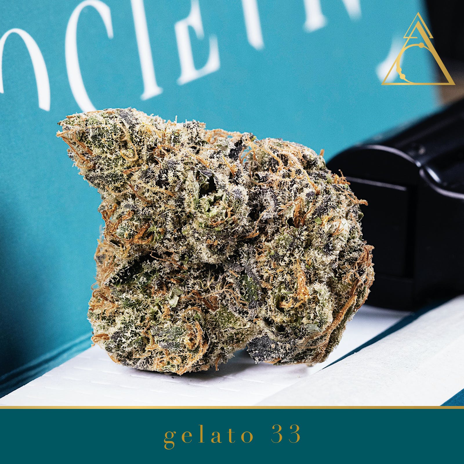 Society C - Gelato 33