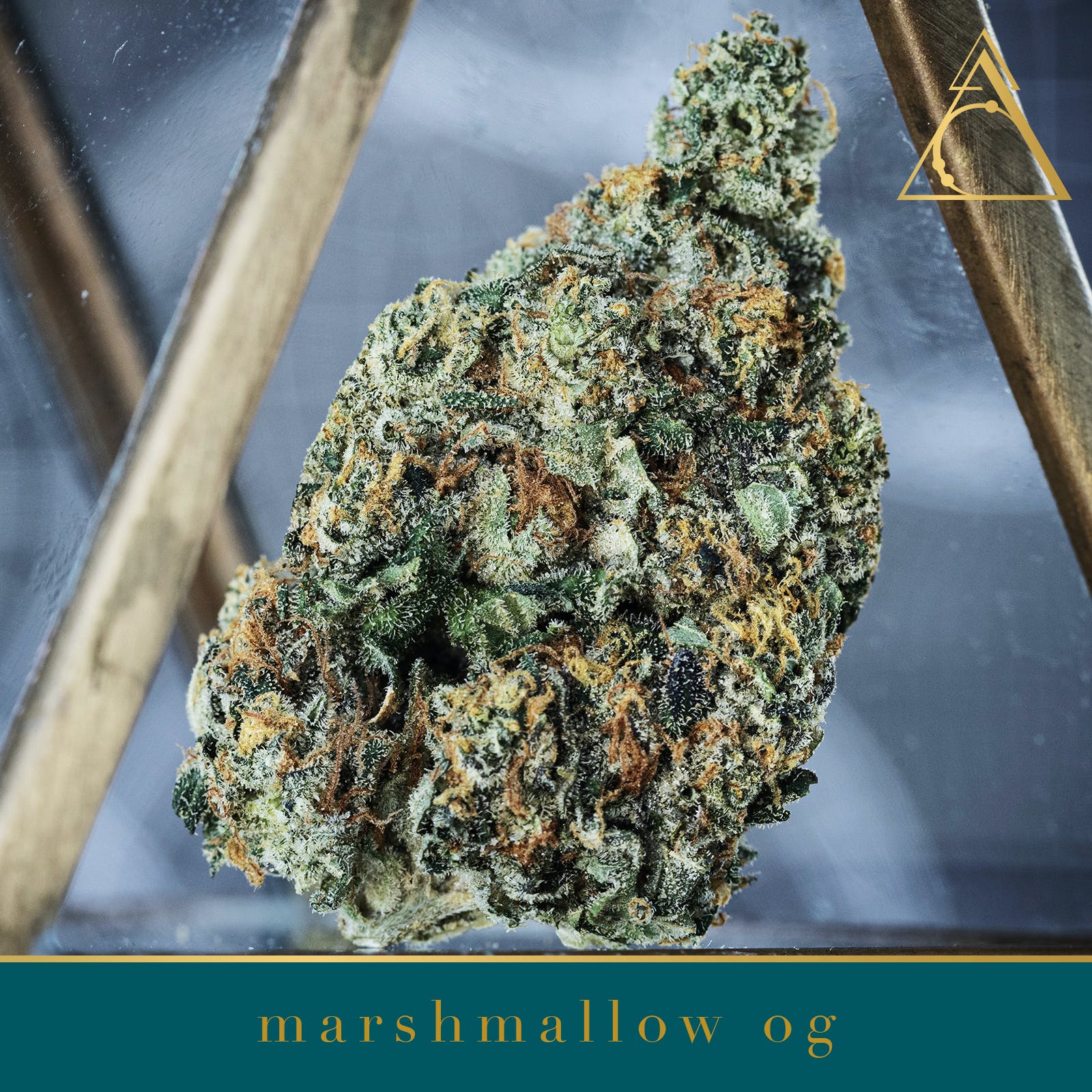 Society C - Marshmallow OG