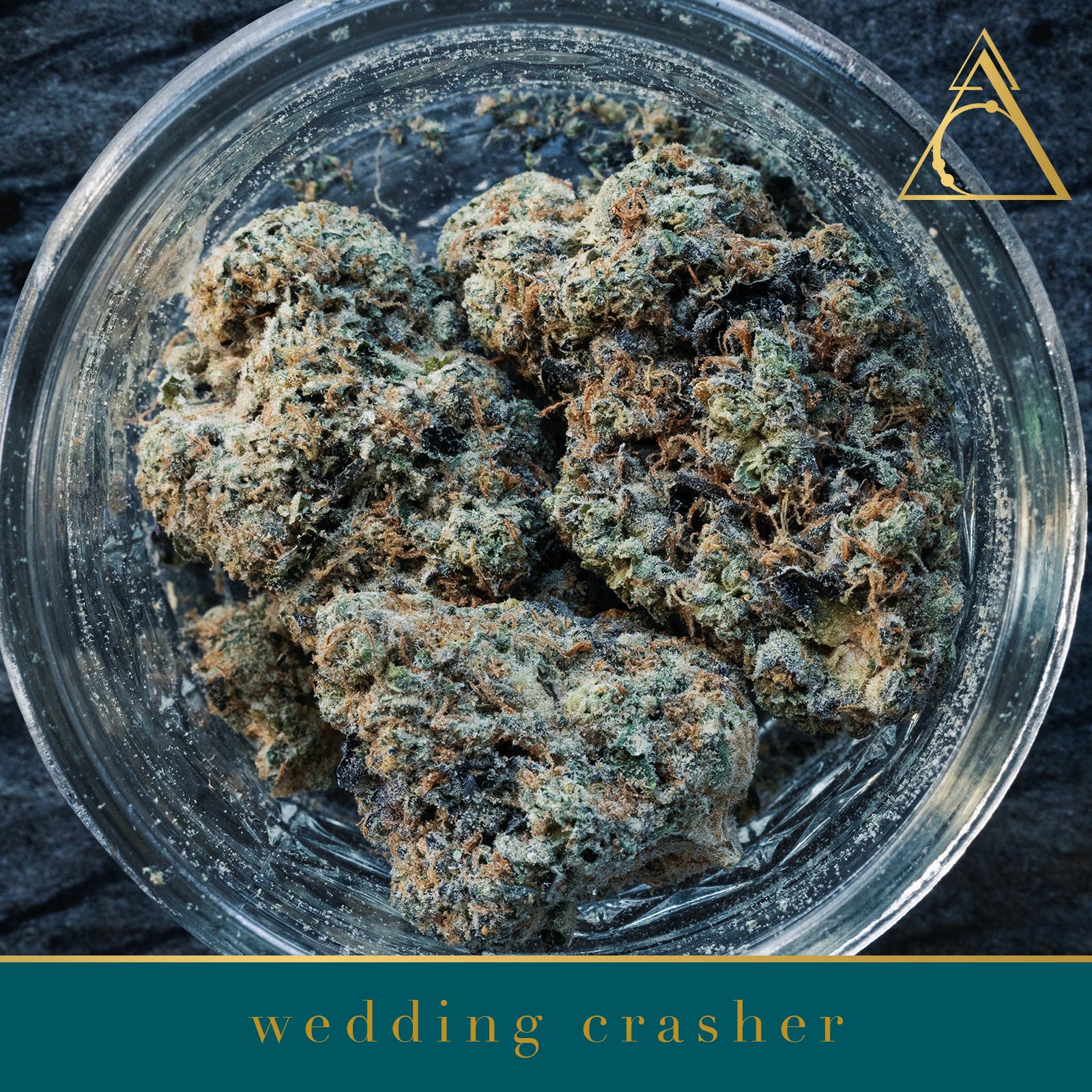 Society C - Wedding Crasher