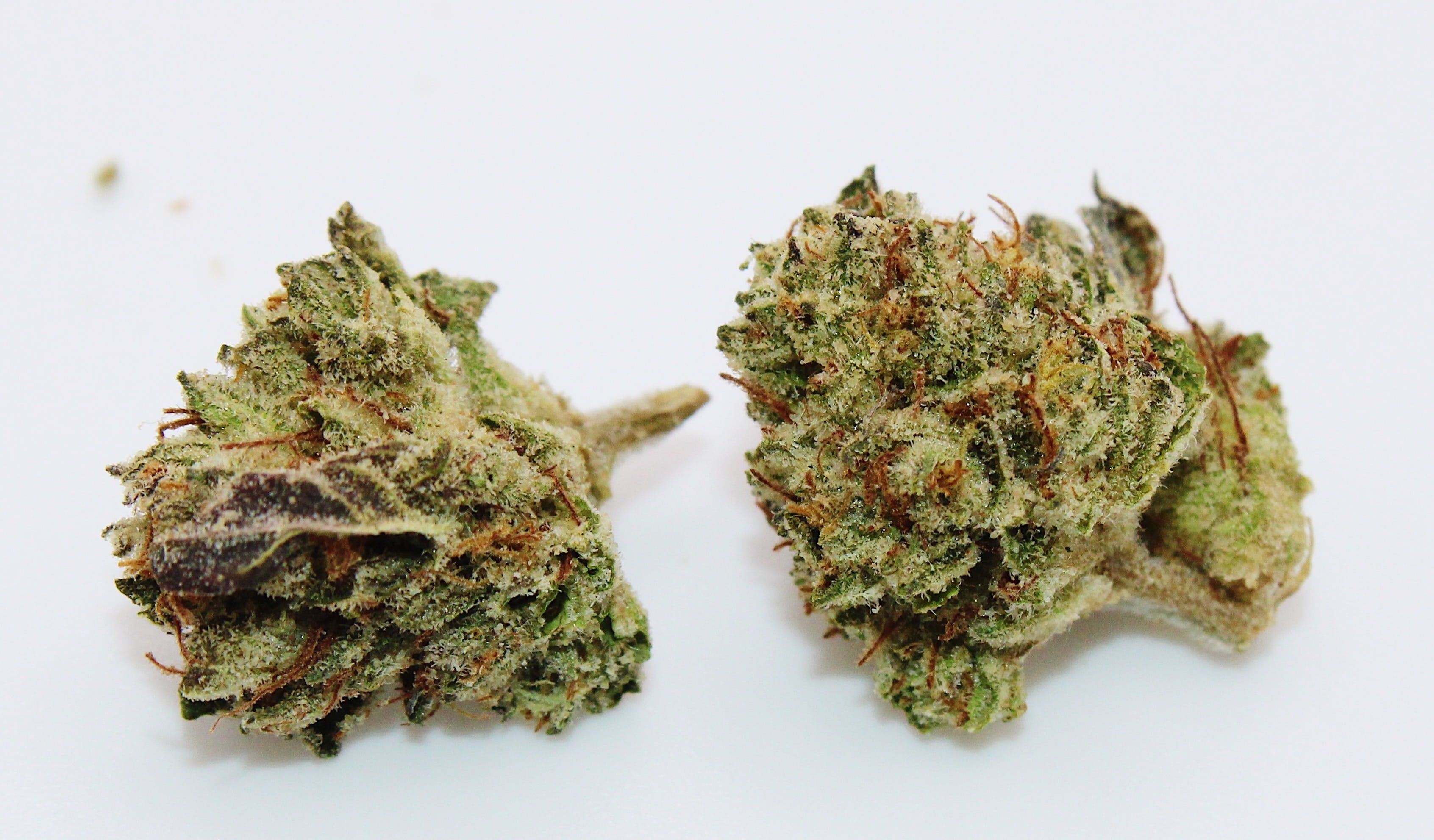 Slurty 8th/3.5 grams (32% THC, Indica)