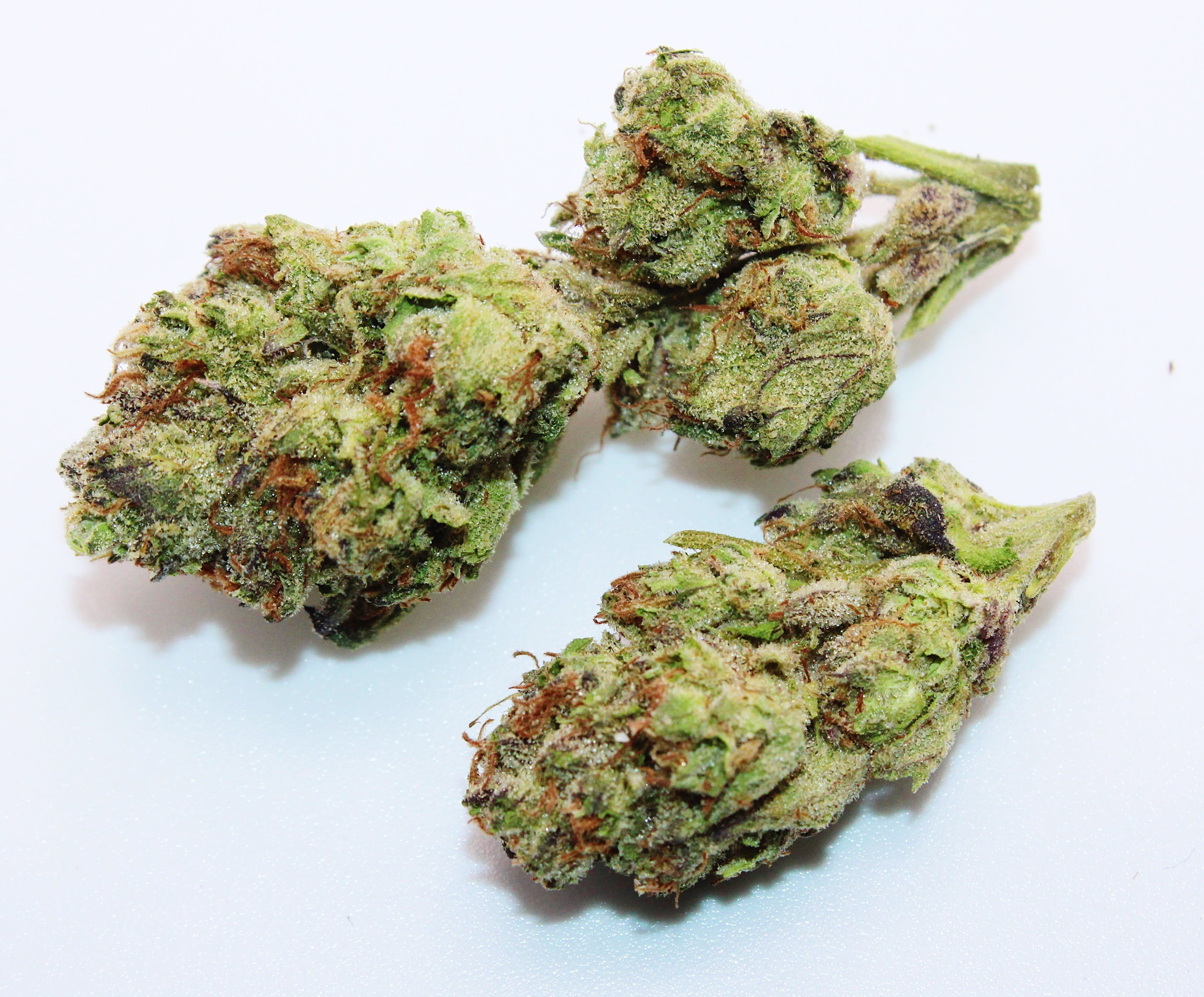 Gush Mints 1/2 Ounce/14 Grams (30% THC, Hybrid)