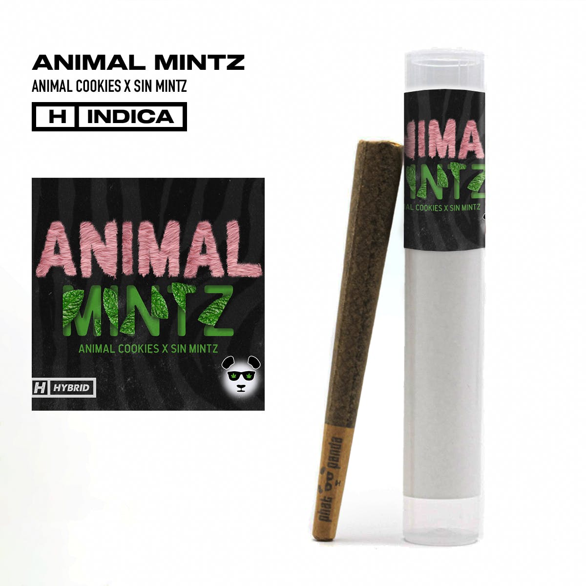 Animal Mintz - Preroll