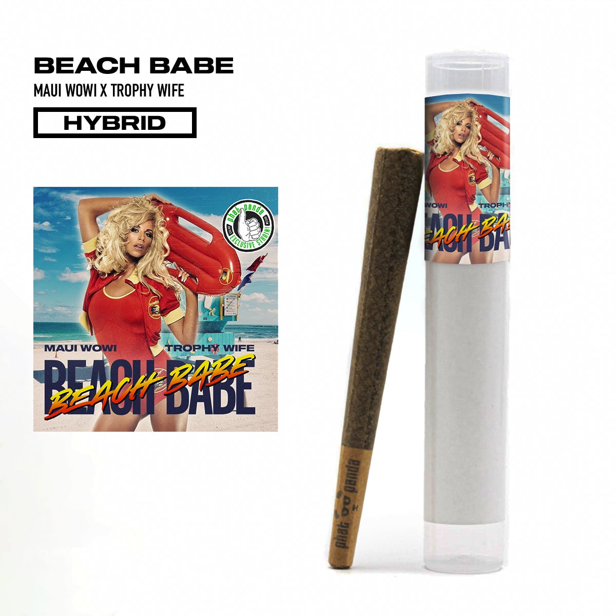 Beach Babe - Preroll