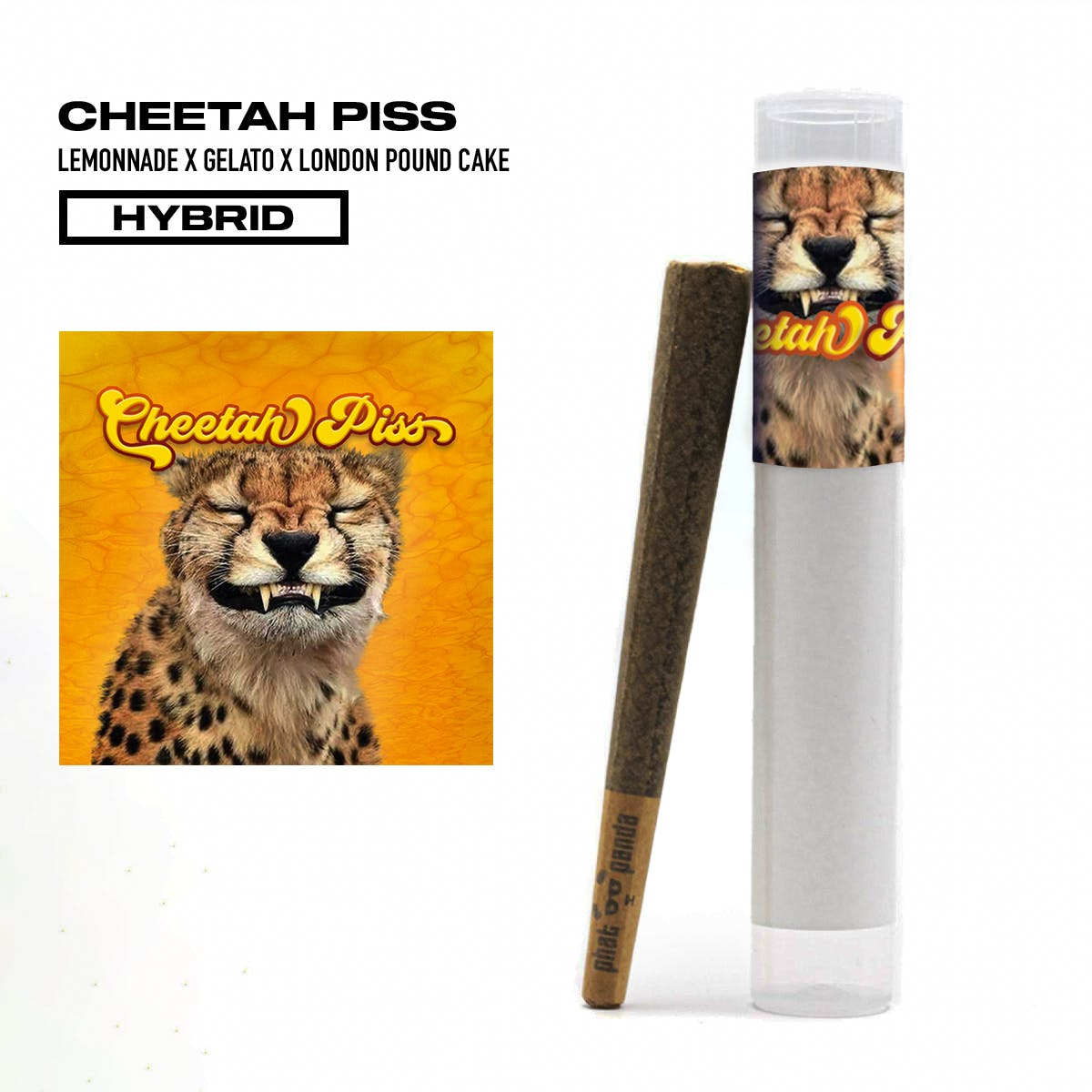 Cheetah Piss - Pre-Roll