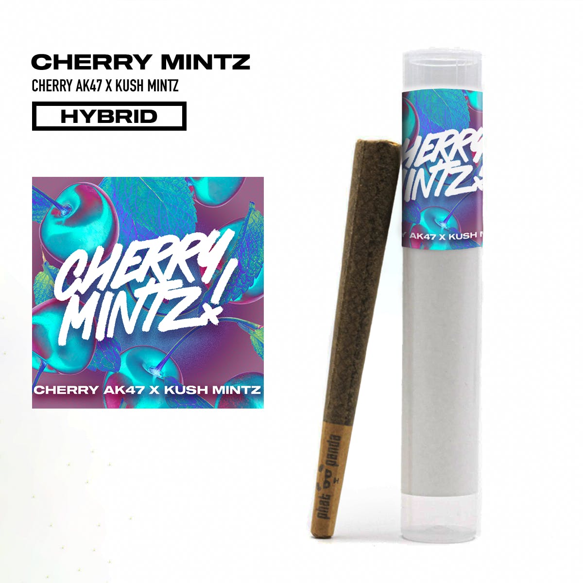 Cherry Mintz - Preroll