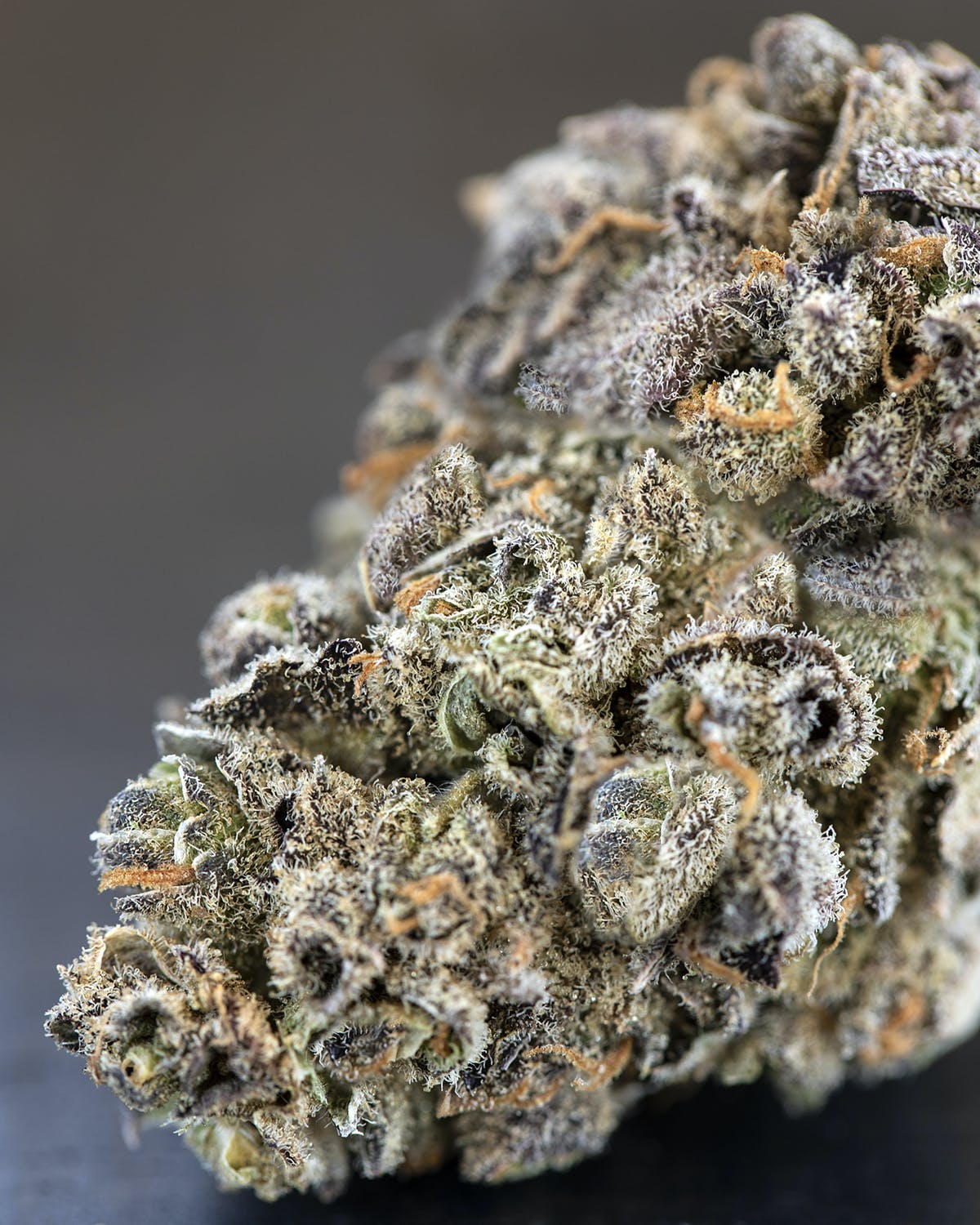 BlueDream SourJack 1/8th (3.5 grams)