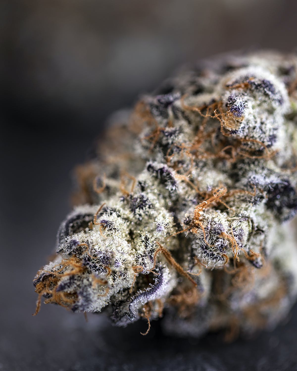 Pure Michigan 3.5 grams