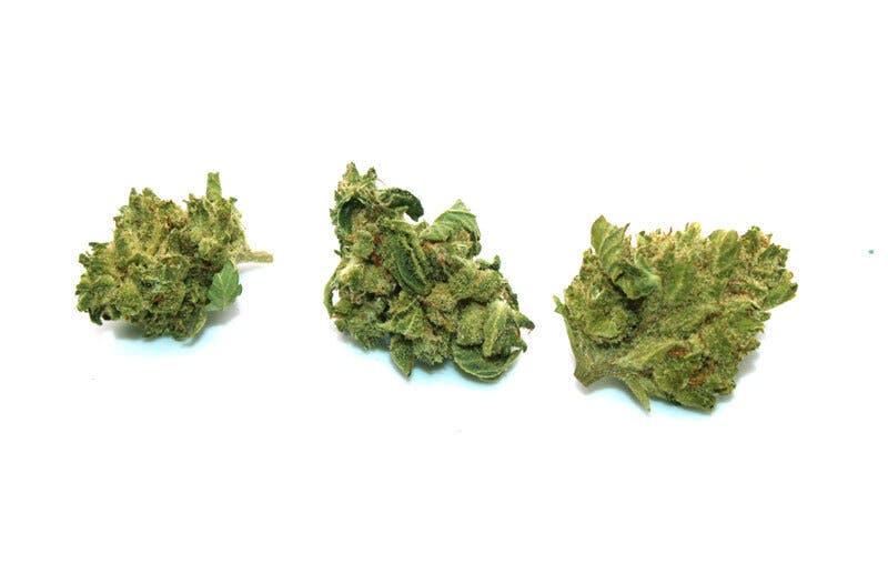 Cake Crasher Smalls 1/2 Ounce/14 Grams (20% THC, Sativa)