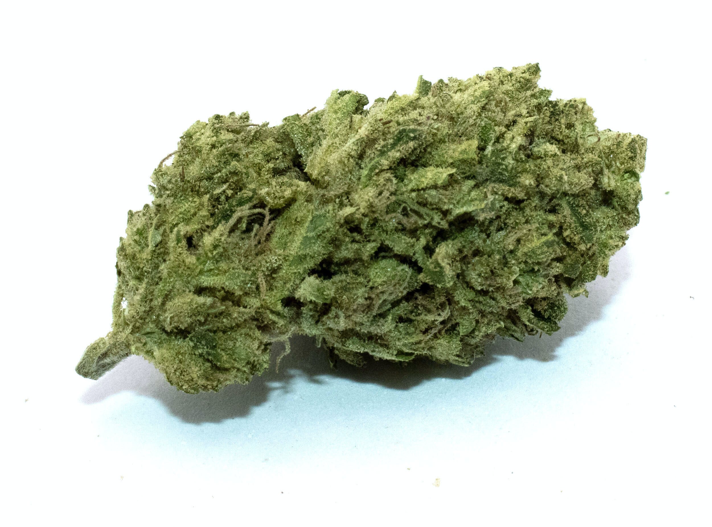 Fatjack 1/2 Ounce/14 Grams (26.67% THC, Hybrid)