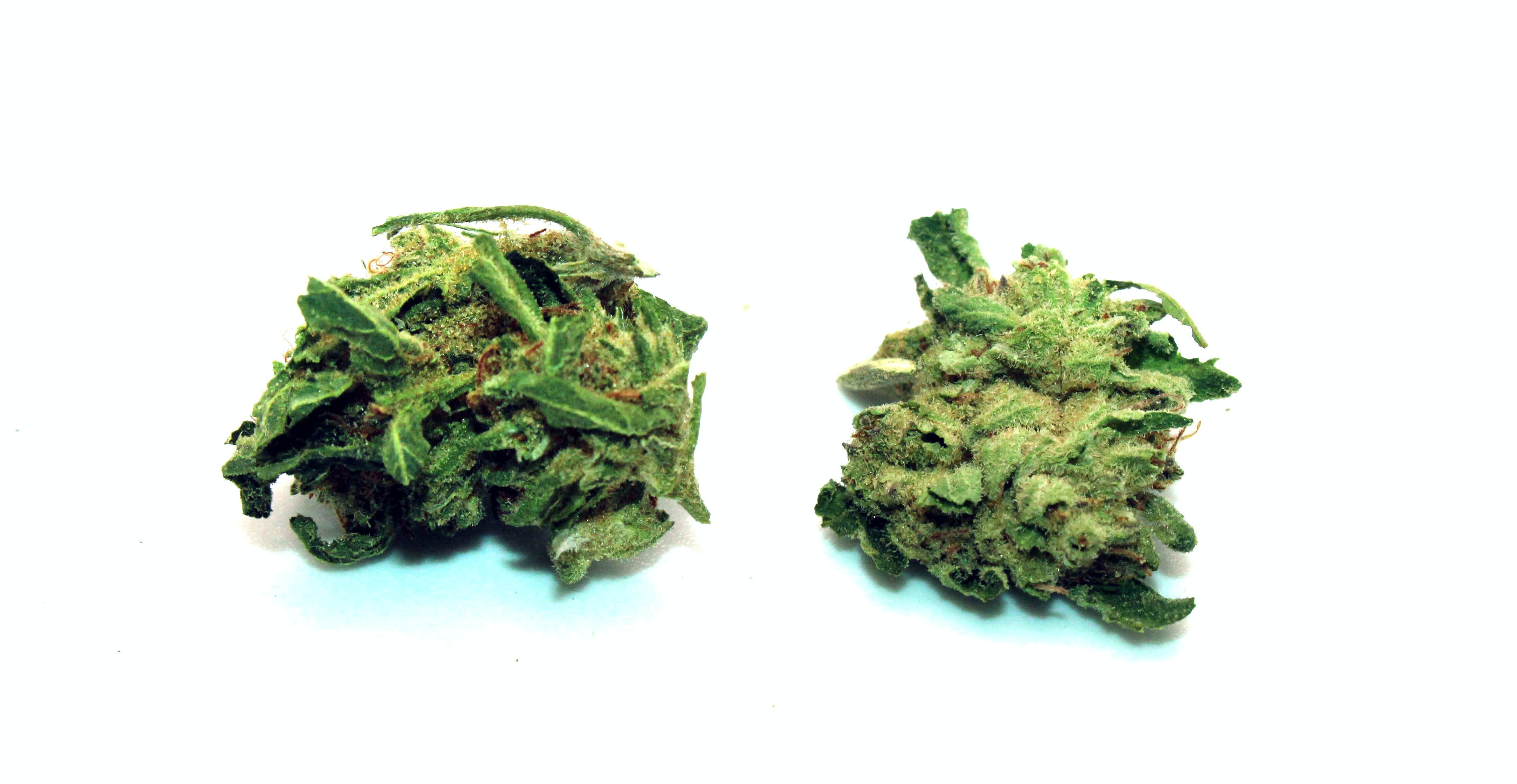 Fatso Smalls Ounce/28 Grams (37% THC, Indica)