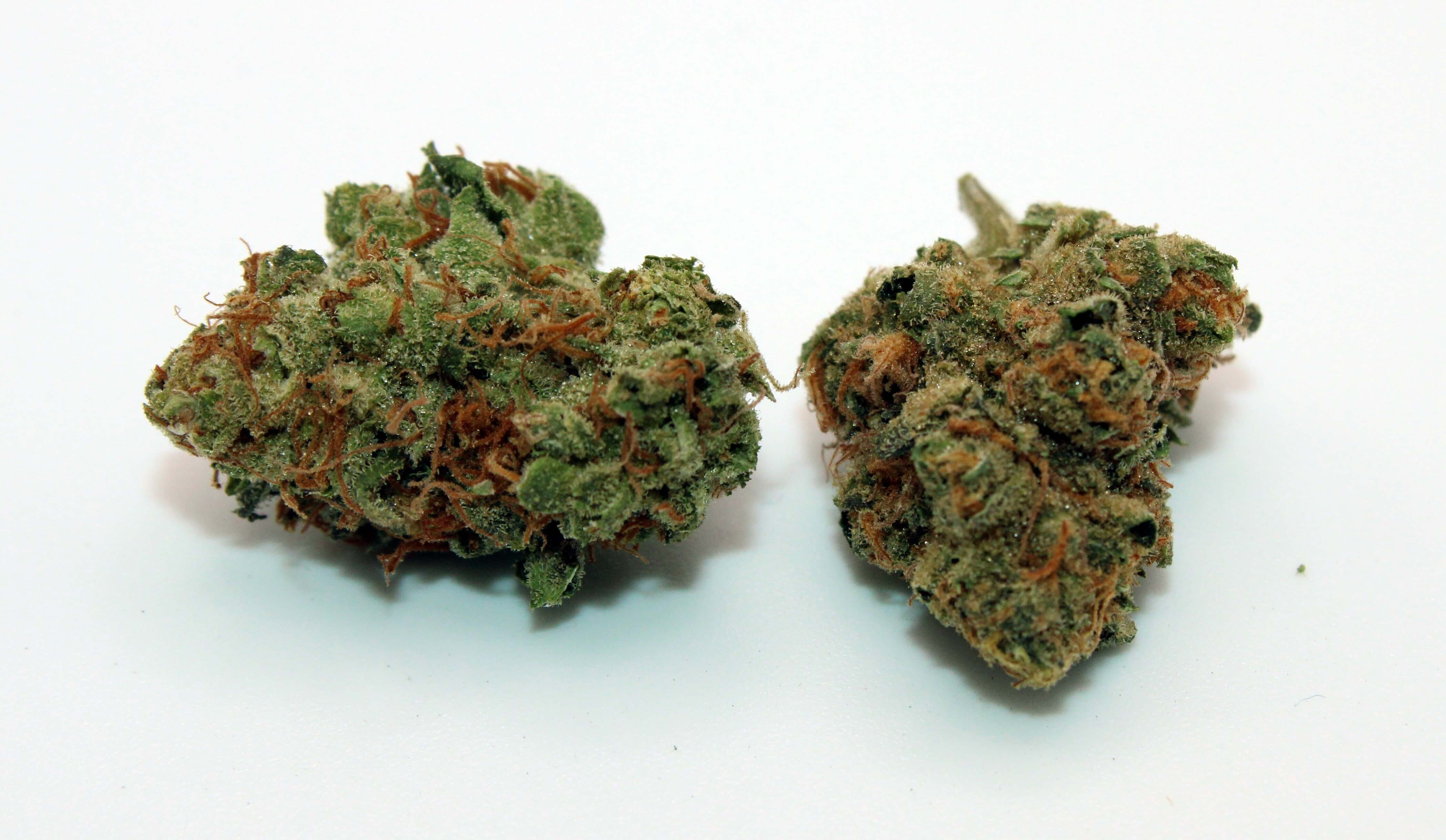 Mochi 1/2 Ounce/14 Grams (24% THC, Hybrid)