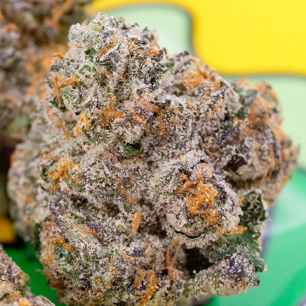 Jobstopper - The Smoker's Club