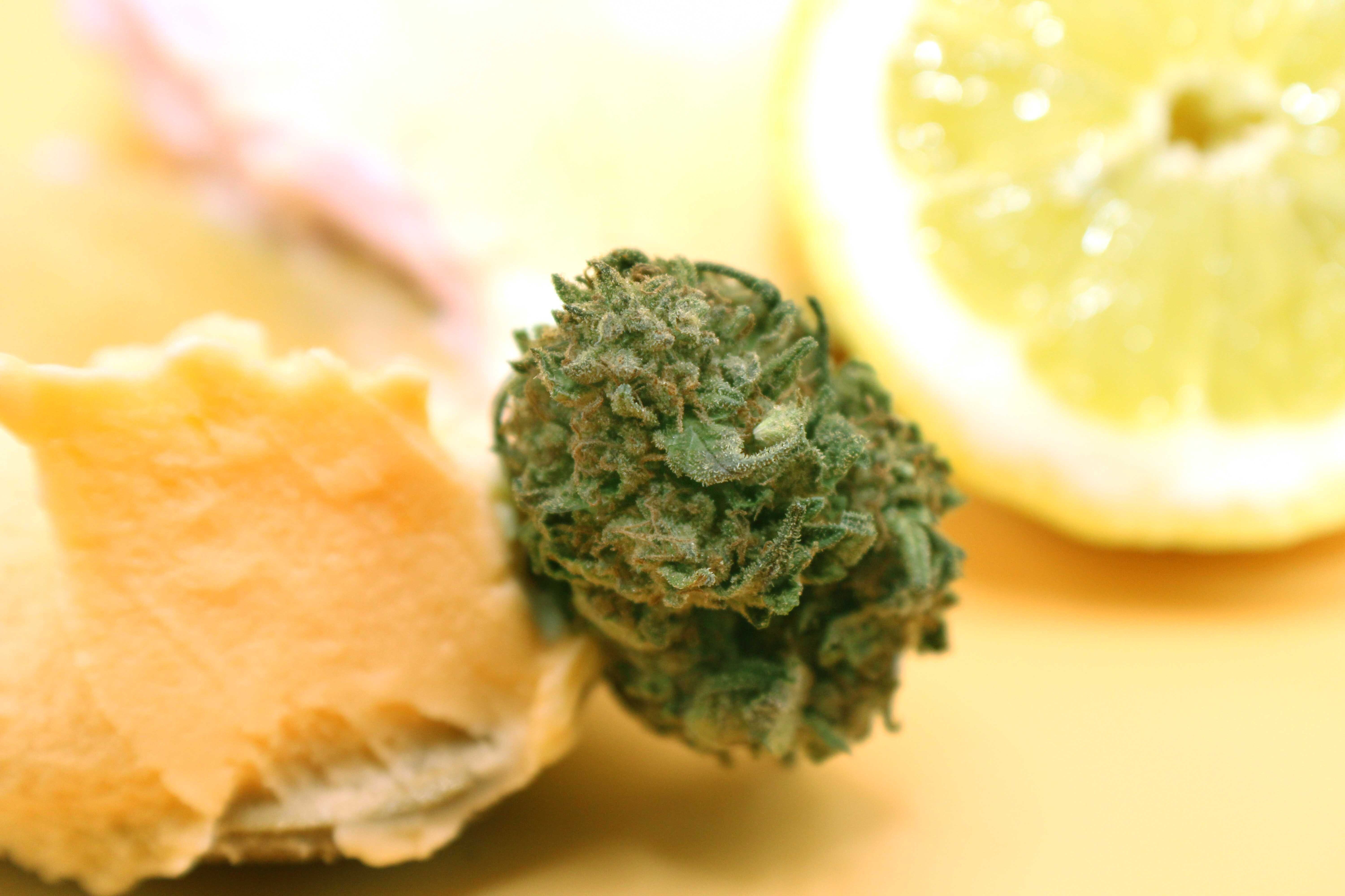 Sunset Sherbet 1 Gram (28% THC, INDICA)