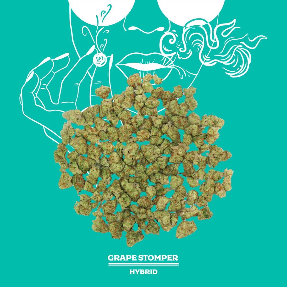 Grape Stomper | 14g | Mixed Light Smalls