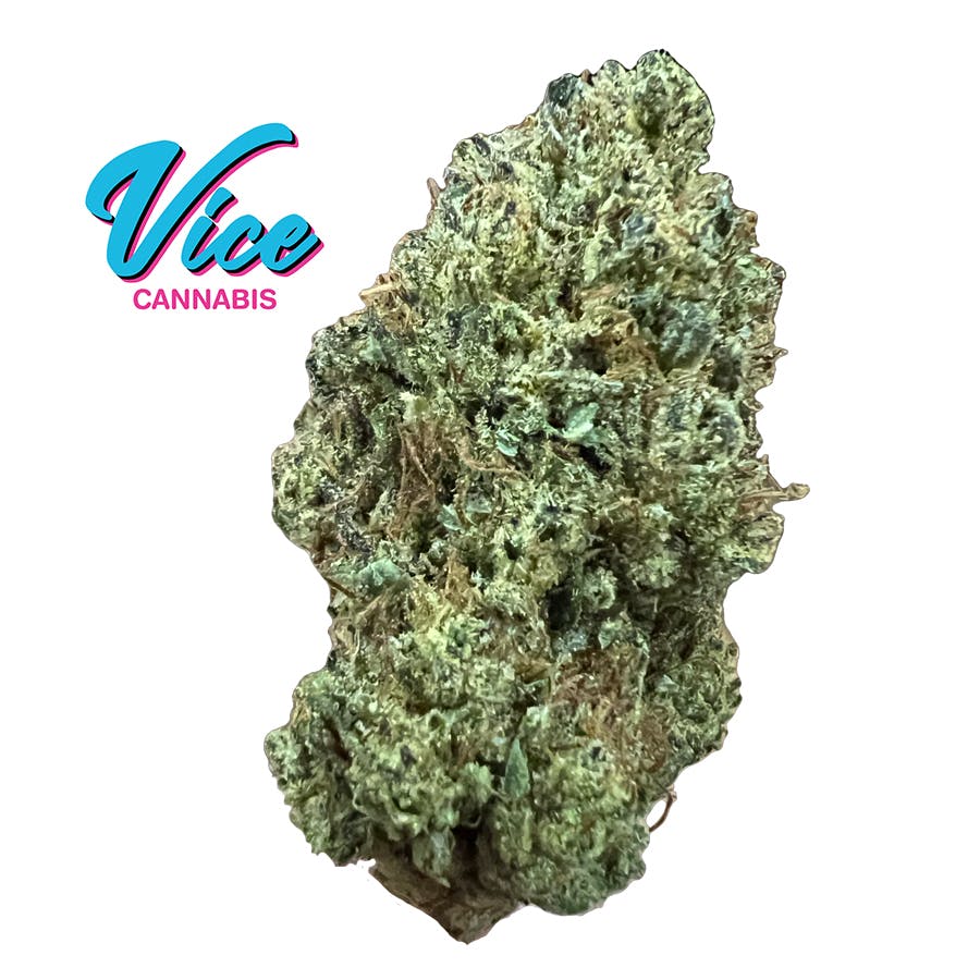 Motorbreath (Chemdog x SFV OG): Greenhouse Flower