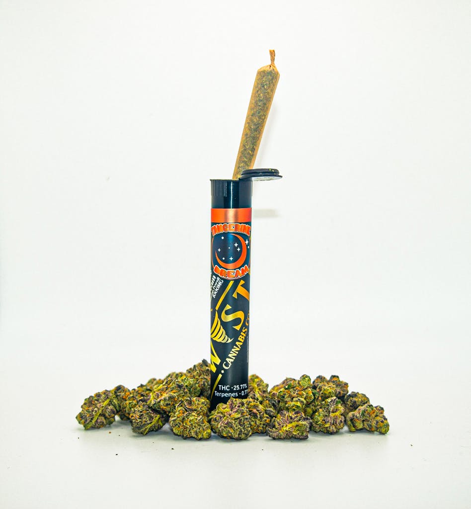 Tangerine Dream Pre-Roll