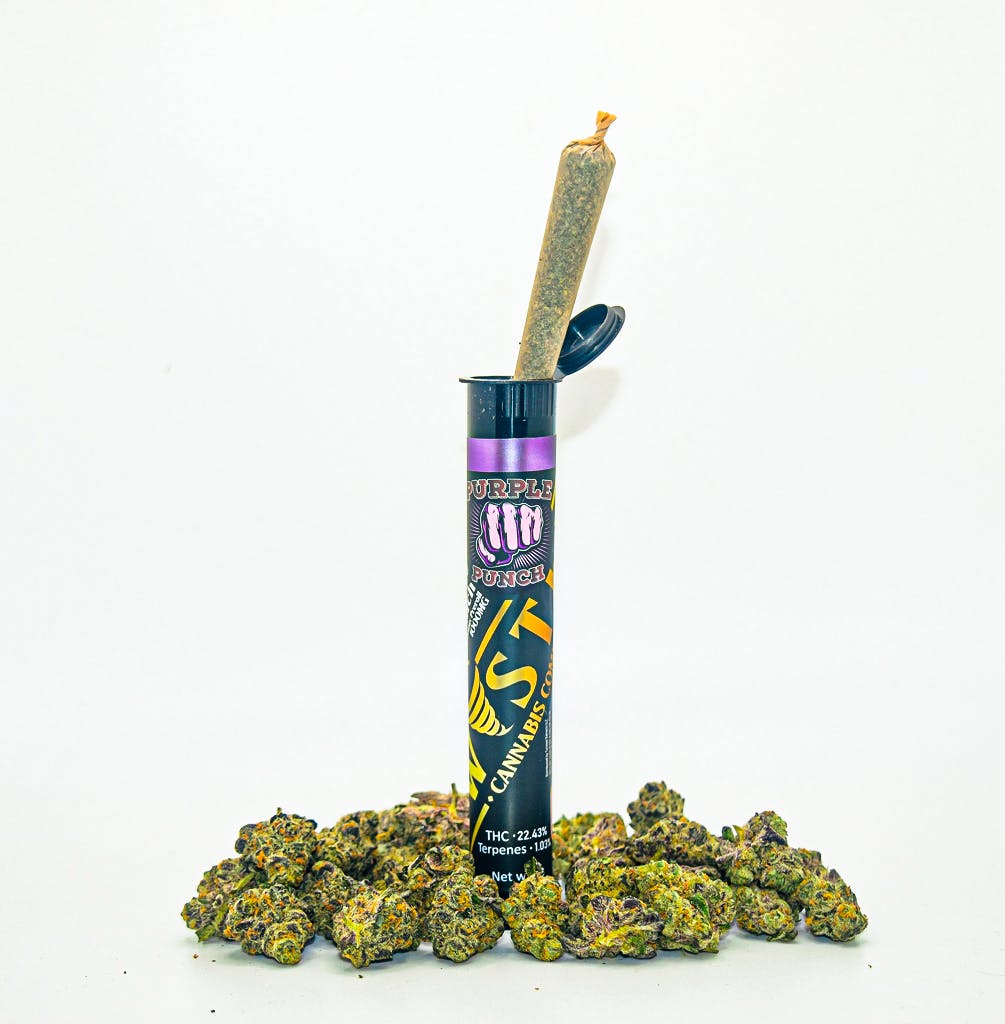 Purple Punch Pre-Roll