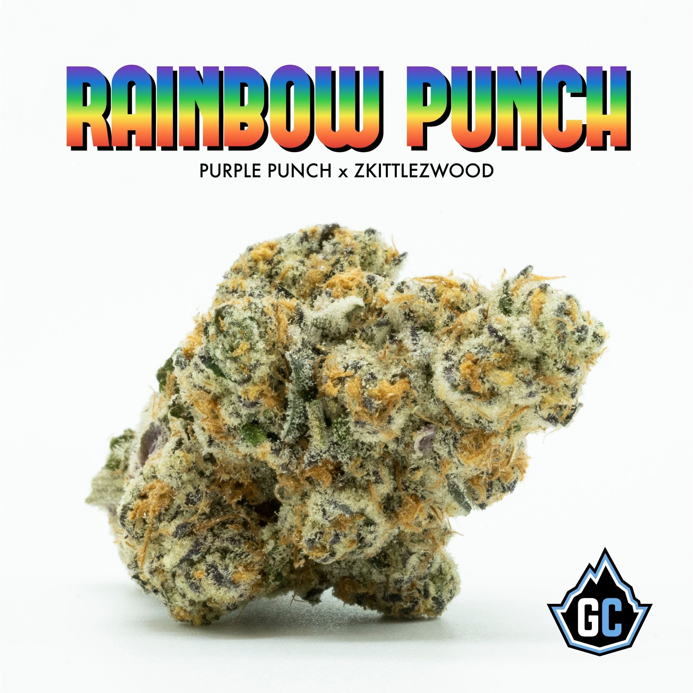 Rainbow Punch (flower)